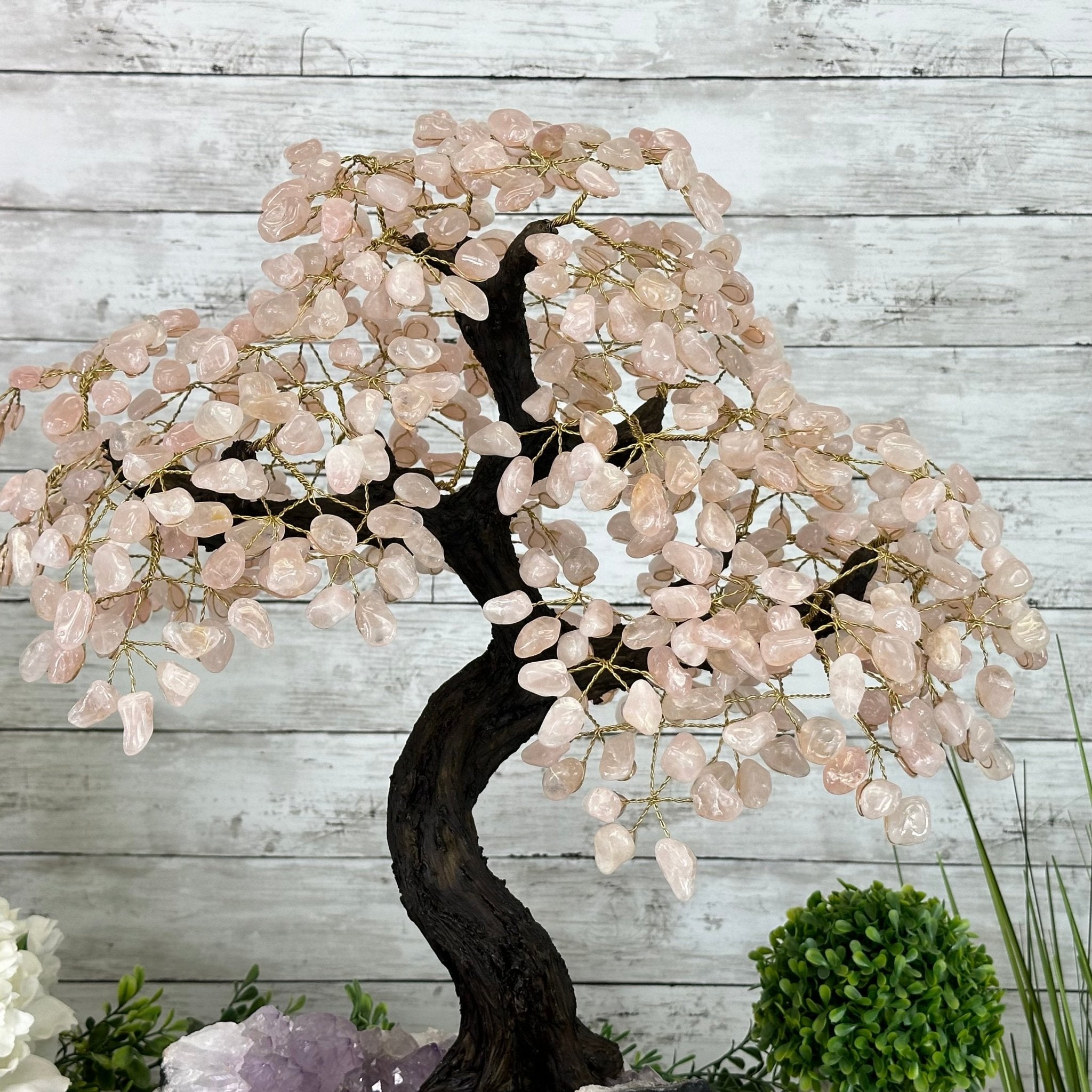 21" Tall Rose Quartz Gemstone Tree on an Amethyst base, 540 gems #5406RQ-015 - Brazil GemsBrazil Gems21" Tall Rose Quartz Gemstone Tree on an Amethyst base, 540 gems #5406RQ-015Gemstone Trees5406RQ-015