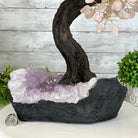 21" Tall Rose Quartz Gemstone Tree on an Amethyst base, 540 gems #5406RQ-015 - Brazil GemsBrazil Gems21" Tall Rose Quartz Gemstone Tree on an Amethyst base, 540 gems #5406RQ-015Gemstone Trees5406RQ-015