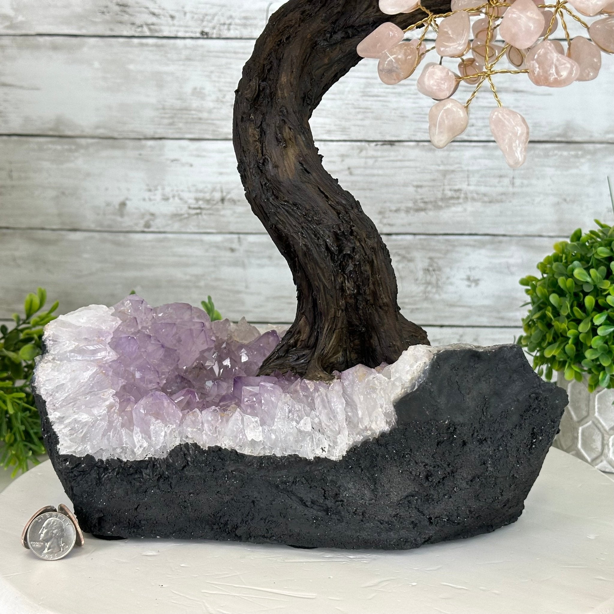 21" Tall Rose Quartz Gemstone Tree on an Amethyst base, 540 gems #5406RQ-015 - Brazil GemsBrazil Gems21" Tall Rose Quartz Gemstone Tree on an Amethyst base, 540 gems #5406RQ-015Gemstone Trees5406RQ-015