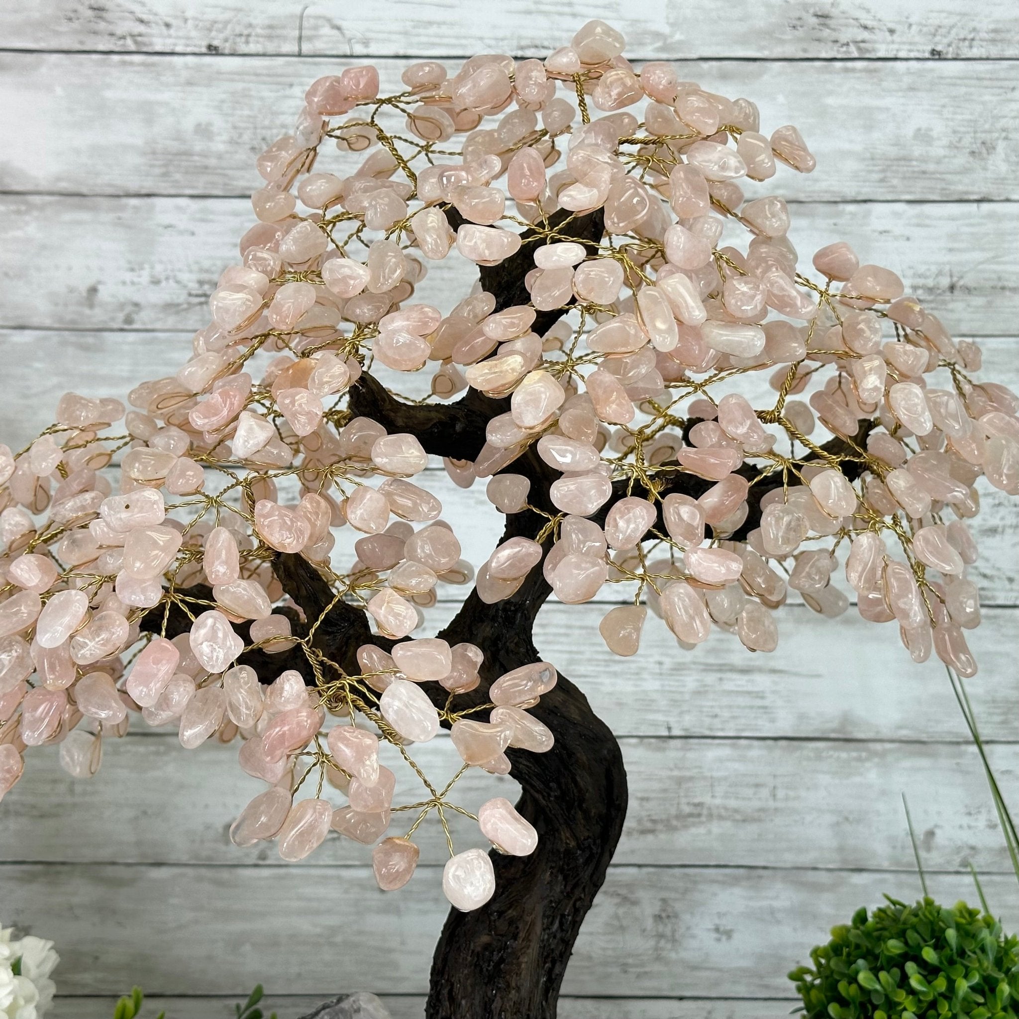 21" Tall Rose Quartz Gemstone Tree on an Amethyst base, 540 gems #5406RQ-015 - Brazil GemsBrazil Gems21" Tall Rose Quartz Gemstone Tree on an Amethyst base, 540 gems #5406RQ-015Gemstone Trees5406RQ-015