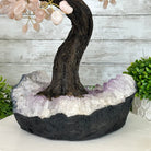 21" Tall Rose Quartz Gemstone Tree on an Amethyst base, 540 gems #5406RQ-015 - Brazil GemsBrazil Gems21" Tall Rose Quartz Gemstone Tree on an Amethyst base, 540 gems #5406RQ-015Gemstone Trees5406RQ-015