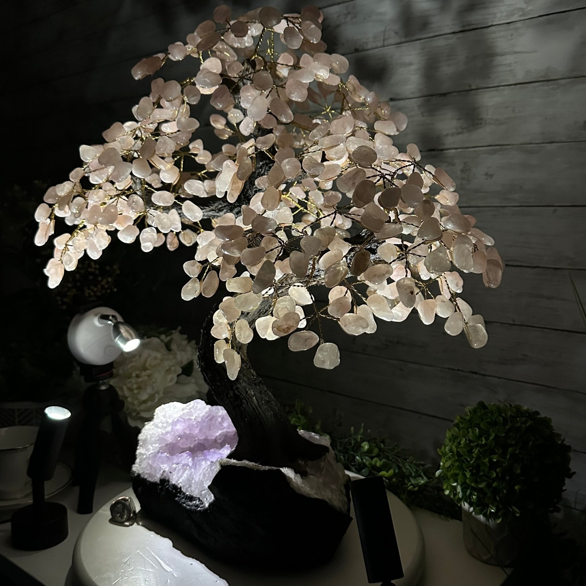 21" Tall Rose Quartz Gemstone Tree on an Amethyst base, 540 gems #5406RQ-015 - Brazil GemsBrazil Gems21" Tall Rose Quartz Gemstone Tree on an Amethyst base, 540 gems #5406RQ-015Gemstone Trees5406RQ-015