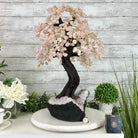 21" Tall Rose Quartz Gemstone Tree on an Amethyst base, 540 gems #5406RQ-015 - Brazil GemsBrazil Gems21" Tall Rose Quartz Gemstone Tree on an Amethyst base, 540 gems #5406RQ-015Gemstone Trees5406RQ-015