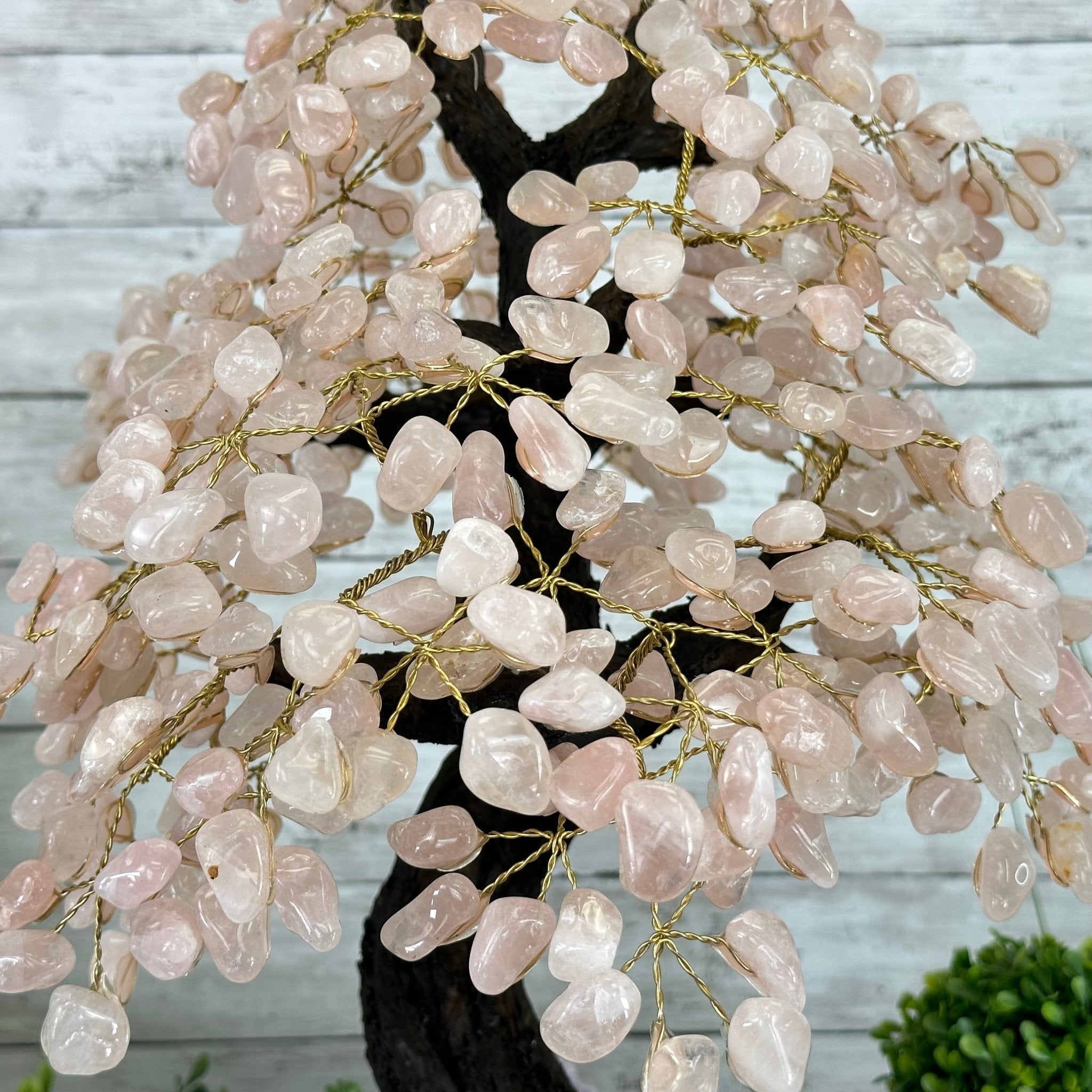 21" Tall Rose Quartz Gemstone Tree on an Amethyst base, 540 gems #5406RQ-015 - Brazil GemsBrazil Gems21" Tall Rose Quartz Gemstone Tree on an Amethyst base, 540 gems #5406RQ-015Gemstone Trees5406RQ-015
