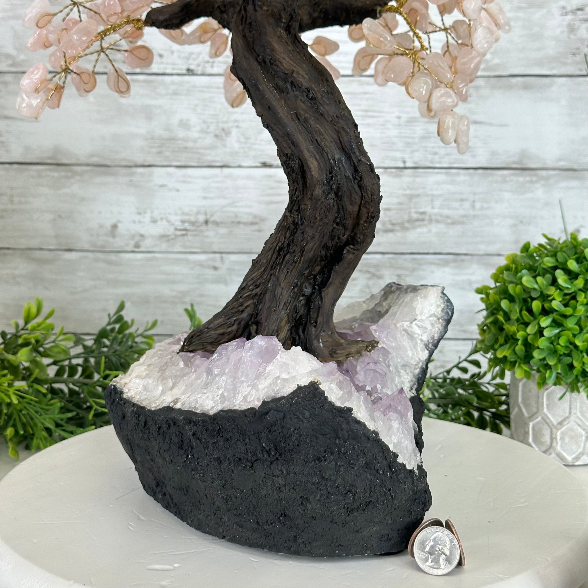 21" Tall Rose Quartz Gemstone Tree on an Amethyst base, 540 gems #5406RQ-015 - Brazil GemsBrazil Gems21" Tall Rose Quartz Gemstone Tree on an Amethyst base, 540 gems #5406RQ-015Gemstone Trees5406RQ-015