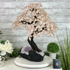 21" Tall Rose Quartz Gemstone Tree on an Amethyst base, 540 gems #5406RQ-015 - Brazil GemsBrazil Gems21" Tall Rose Quartz Gemstone Tree on an Amethyst base, 540 gems #5406RQ-015Gemstone Trees5406RQ-015