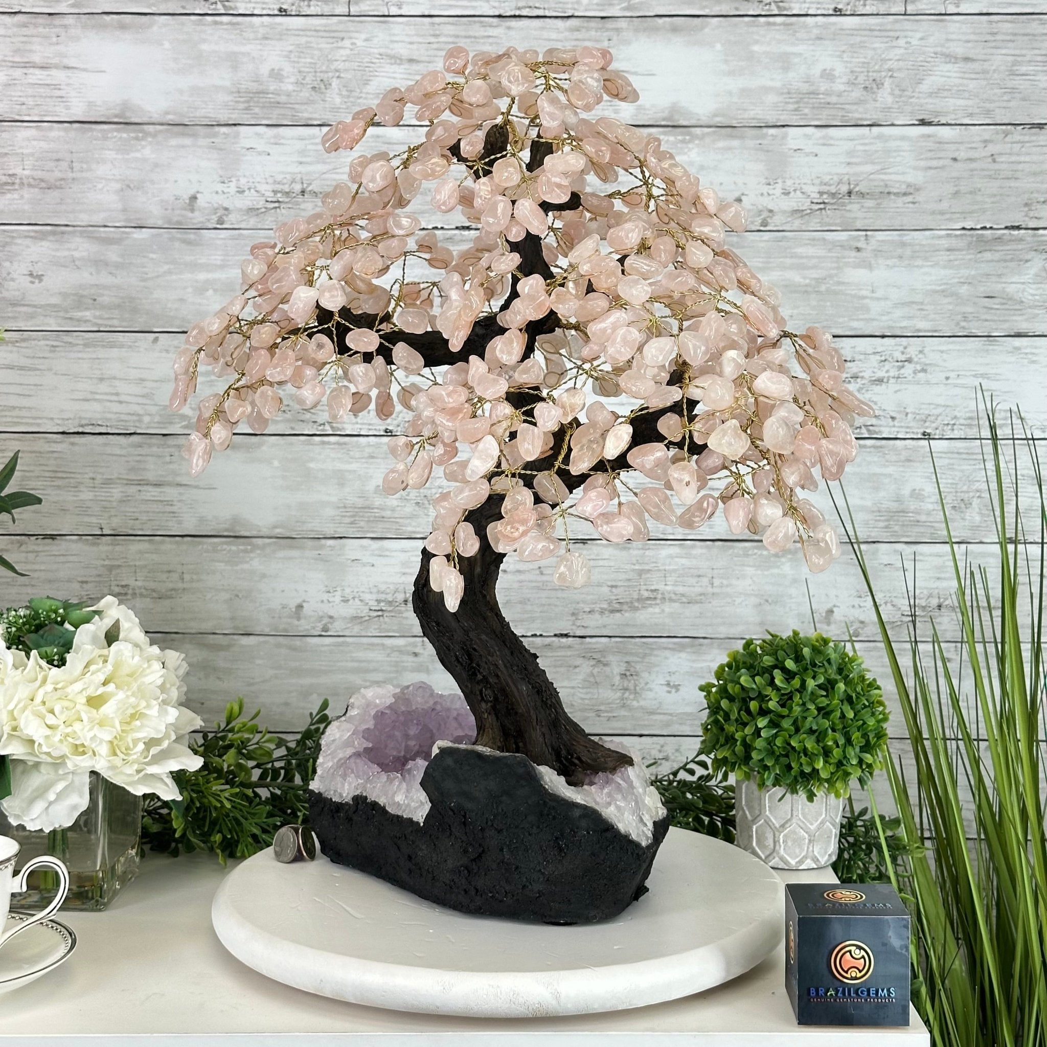 21" Tall Rose Quartz Gemstone Tree on an Amethyst base, 540 gems #5406RQ-015 - Brazil GemsBrazil Gems21" Tall Rose Quartz Gemstone Tree on an Amethyst base, 540 gems #5406RQ-015Gemstone Trees5406RQ-015
