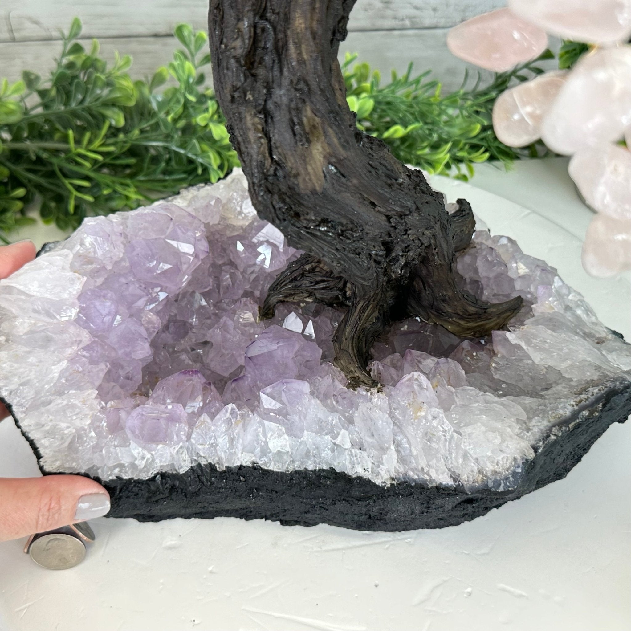 21" Tall Rose Quartz Gemstone Tree on an Amethyst base, 540 gems #5406RQ-015 - Brazil GemsBrazil Gems21" Tall Rose Quartz Gemstone Tree on an Amethyst base, 540 gems #5406RQ-015Gemstone Trees5406RQ-015