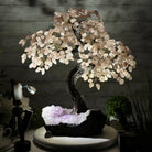 21" Tall Rose Quartz Gemstone Tree on an Amethyst base, 540 gems #5406RQ-015 - Brazil GemsBrazil Gems21" Tall Rose Quartz Gemstone Tree on an Amethyst base, 540 gems #5406RQ-015Gemstone Trees5406RQ-015
