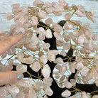 21" Tall Rose Quartz Gemstone Tree on an Amethyst base, 540 gems #5406RQ-015 - Brazil GemsBrazil Gems21" Tall Rose Quartz Gemstone Tree on an Amethyst base, 540 gems #5406RQ-015Gemstone Trees5406RQ-015