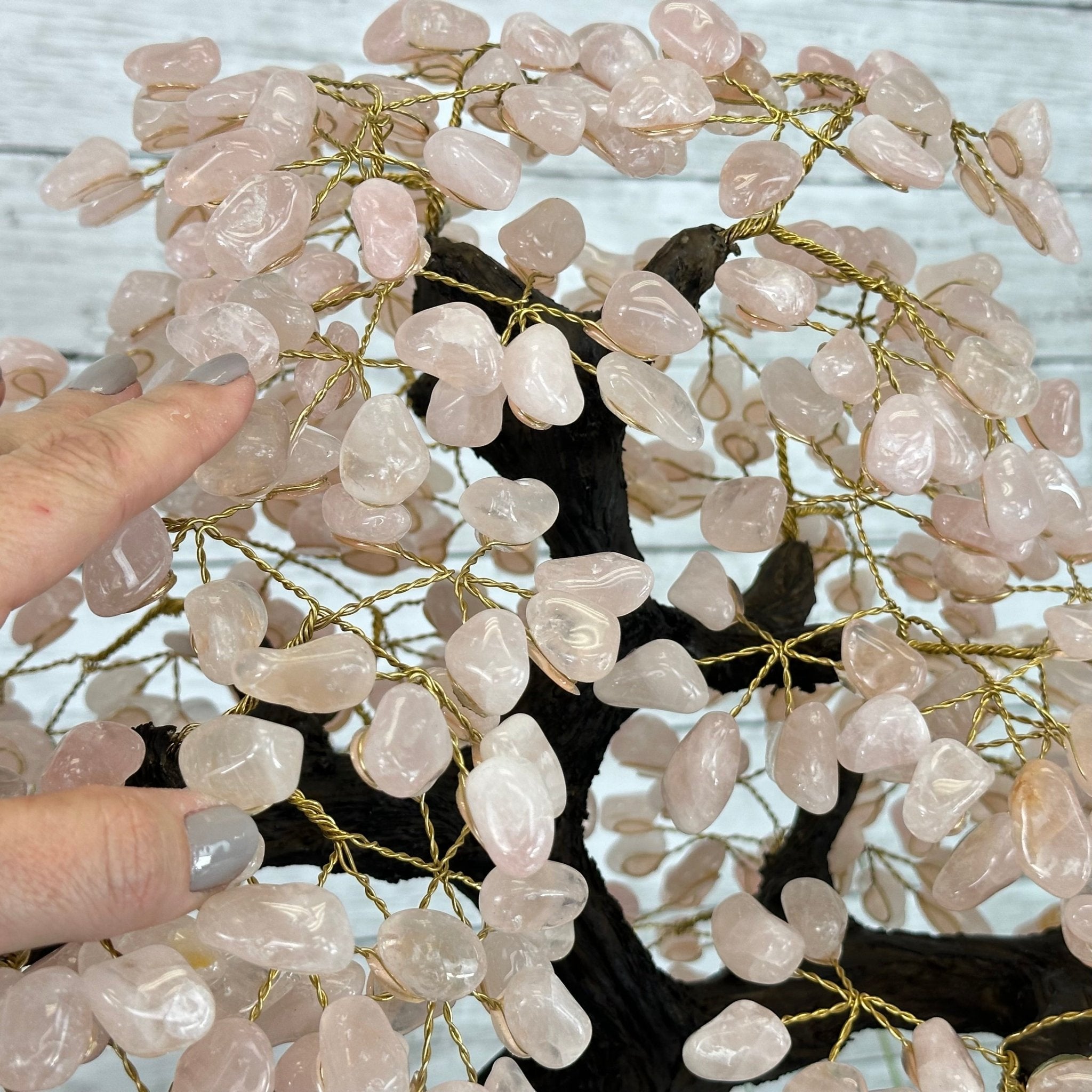 21" Tall Rose Quartz Gemstone Tree on an Amethyst base, 540 gems #5406RQ-015 - Brazil GemsBrazil Gems21" Tall Rose Quartz Gemstone Tree on an Amethyst base, 540 gems #5406RQ-015Gemstone Trees5406RQ-015