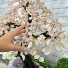 21" Tall Rose Quartz Gemstone Tree on an Amethyst base, 540 gems #5406RQ-015 - Brazil GemsBrazil Gems21" Tall Rose Quartz Gemstone Tree on an Amethyst base, 540 gems #5406RQ-015Gemstone Trees5406RQ-015