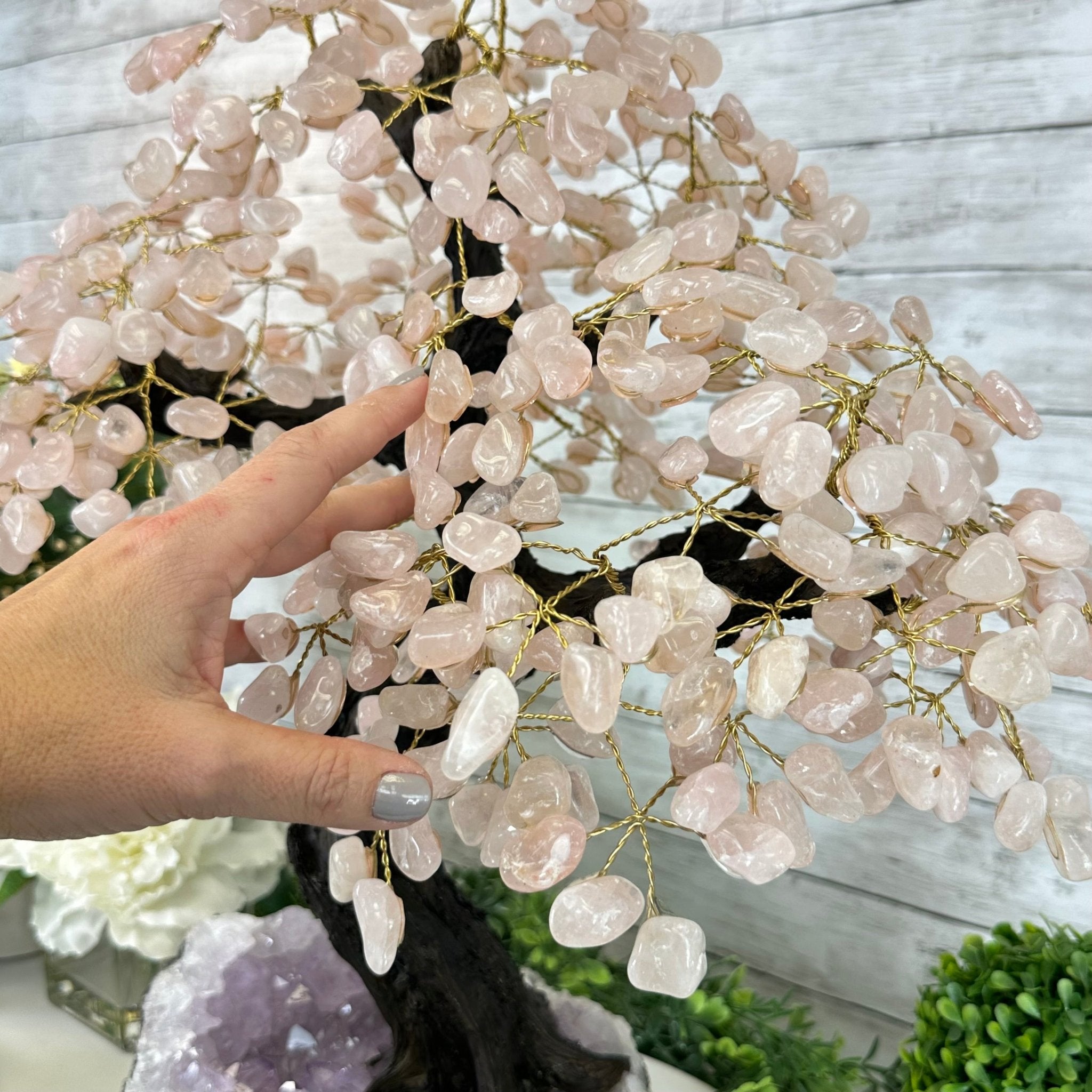 21" Tall Rose Quartz Gemstone Tree on an Amethyst base, 540 gems #5406RQ-015 - Brazil GemsBrazil Gems21" Tall Rose Quartz Gemstone Tree on an Amethyst base, 540 gems #5406RQ-015Gemstone Trees5406RQ-015
