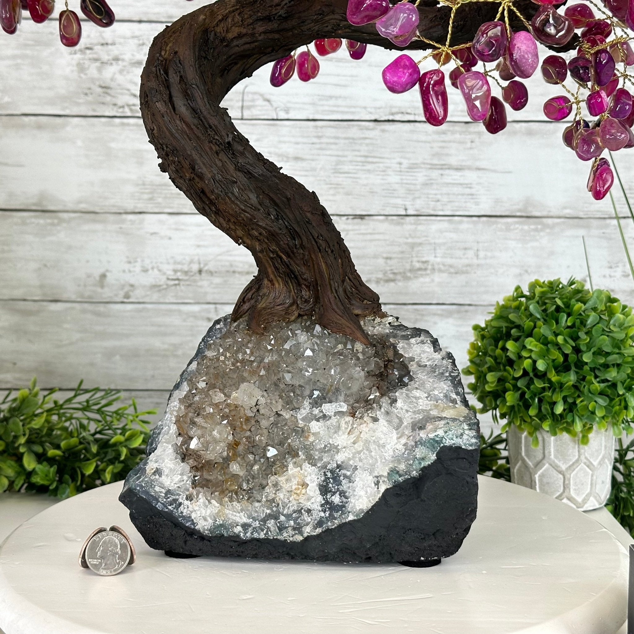 22" Tall Pink Agate Gemstone Tree w/ Amethyst base, 540 gems #5406PA-008 - Brazil GemsBrazil Gems22" Tall Pink Agate Gemstone Tree w/ Amethyst base, 540 gems #5406PA-008Gemstone Trees5406PA-008