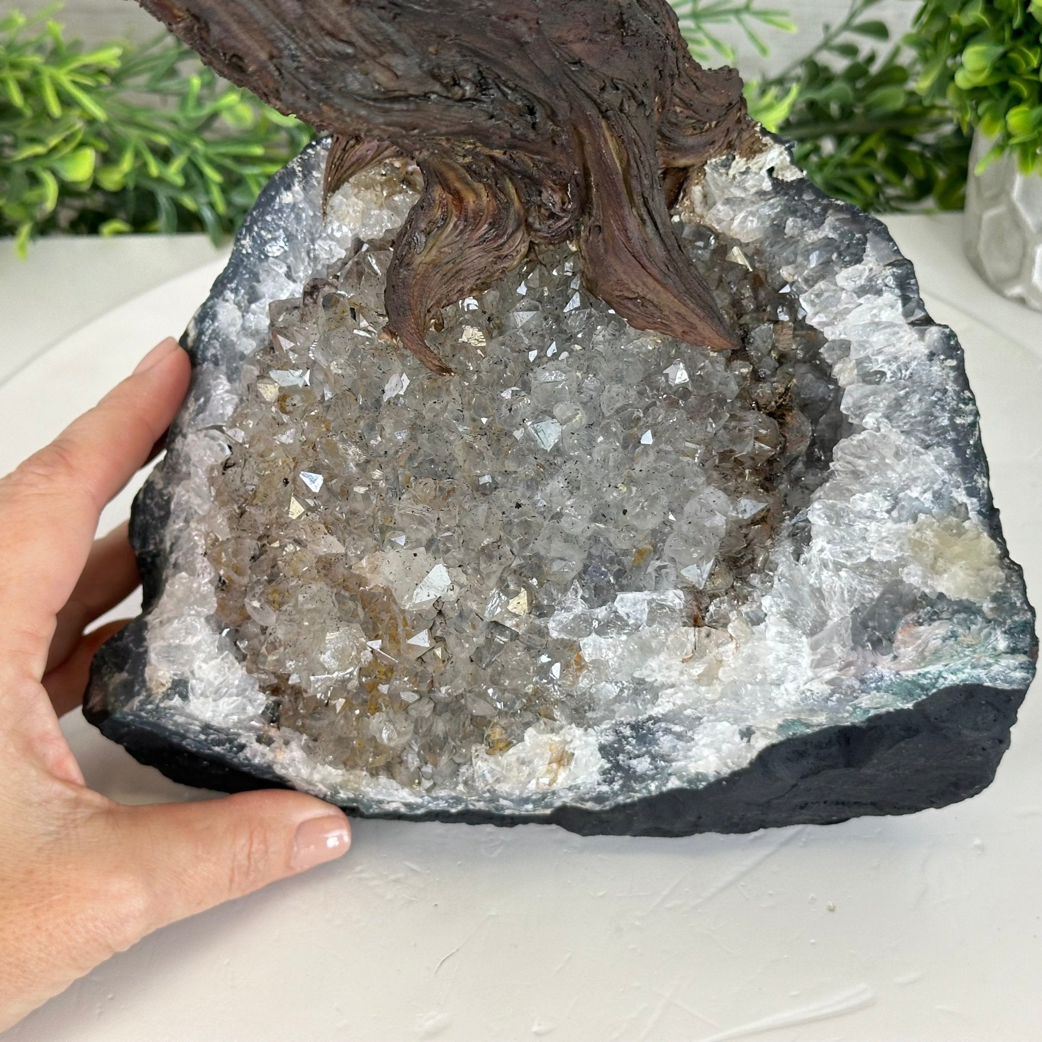 22" Tall Pink Agate Gemstone Tree w/ Amethyst base, 540 gems #5406PA-008 - Brazil GemsBrazil Gems22" Tall Pink Agate Gemstone Tree w/ Amethyst base, 540 gems #5406PA-008Gemstone Trees5406PA-008