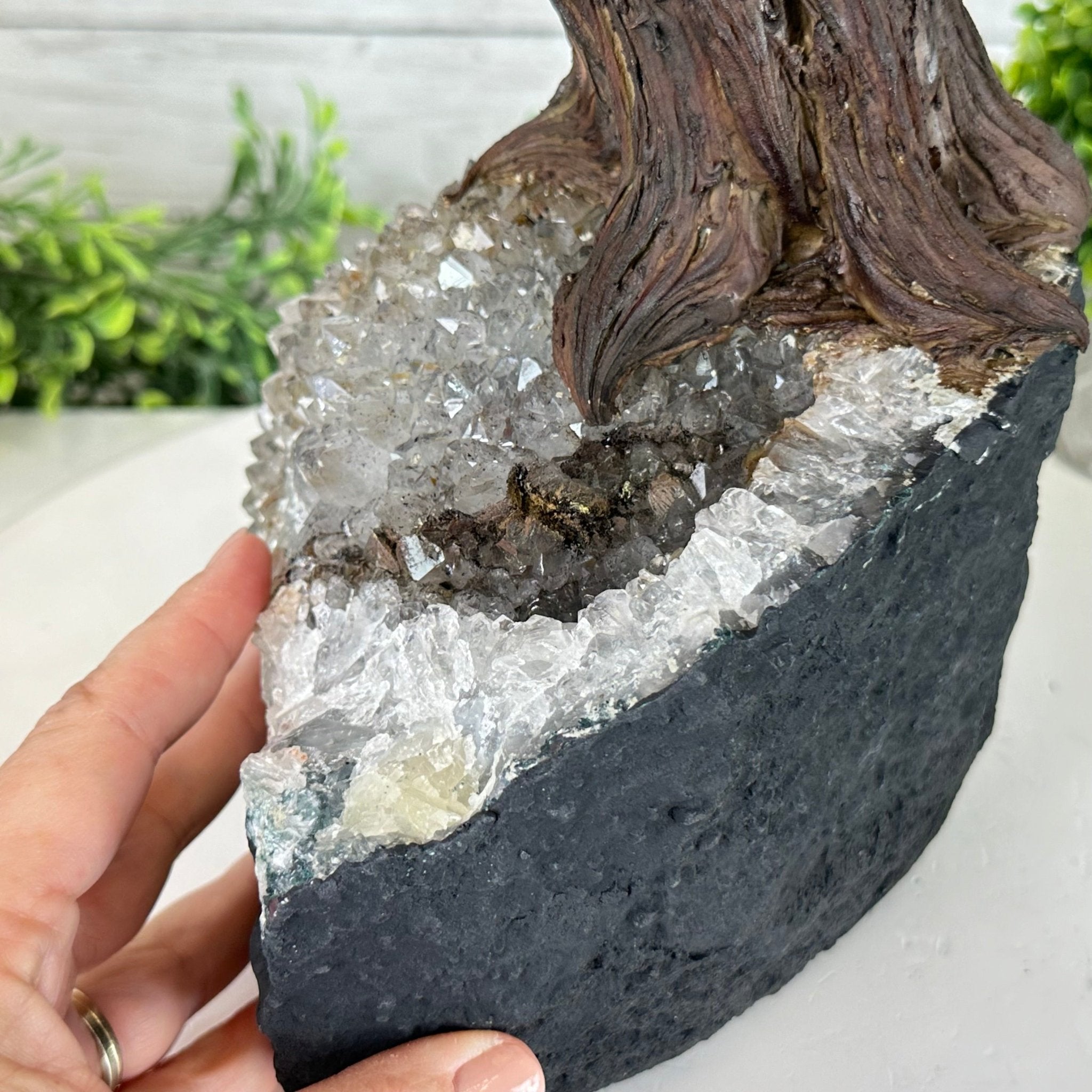 22" Tall Pink Agate Gemstone Tree w/ Amethyst base, 540 gems #5406PA-008 - Brazil GemsBrazil Gems22" Tall Pink Agate Gemstone Tree w/ Amethyst base, 540 gems #5406PA-008Gemstone Trees5406PA-008