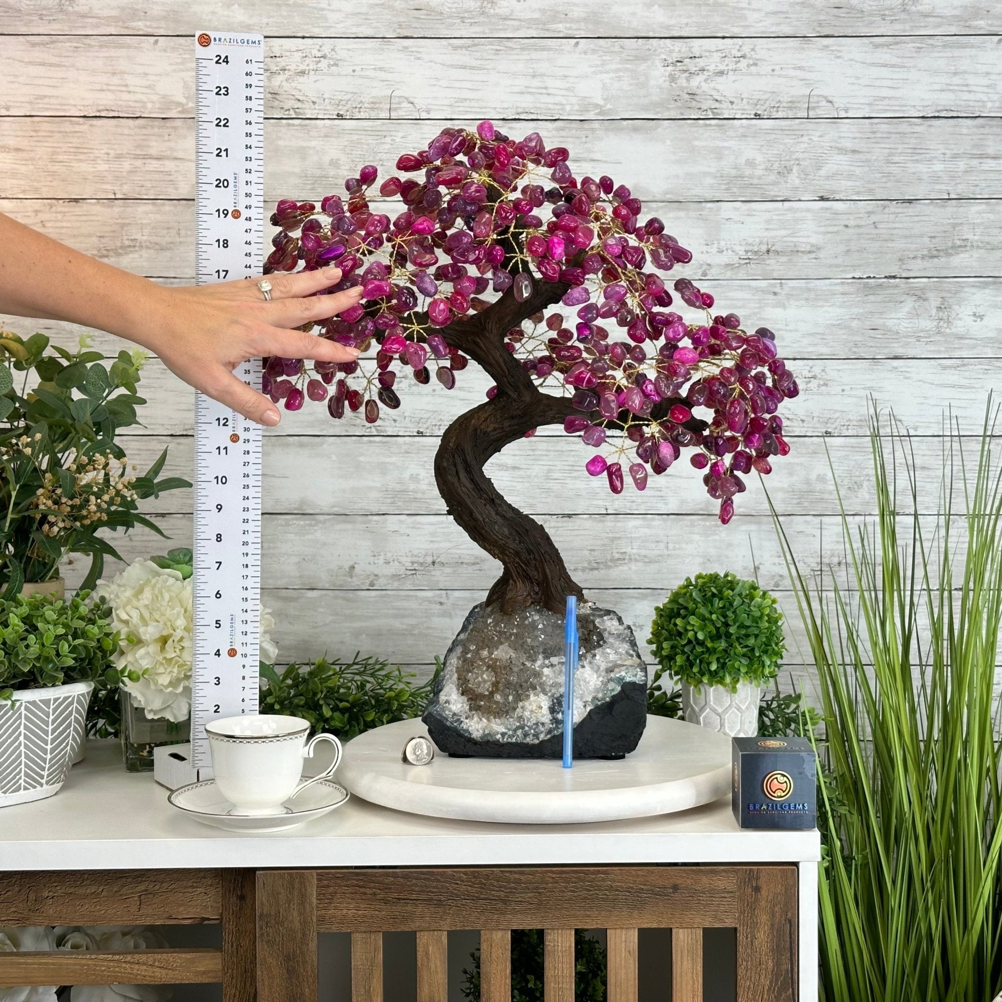 22" Tall Pink Agate Gemstone Tree w/ Amethyst base, 540 gems #5406PA-008 - Brazil GemsBrazil Gems22" Tall Pink Agate Gemstone Tree w/ Amethyst base, 540 gems #5406PA-008Gemstone Trees5406PA-008