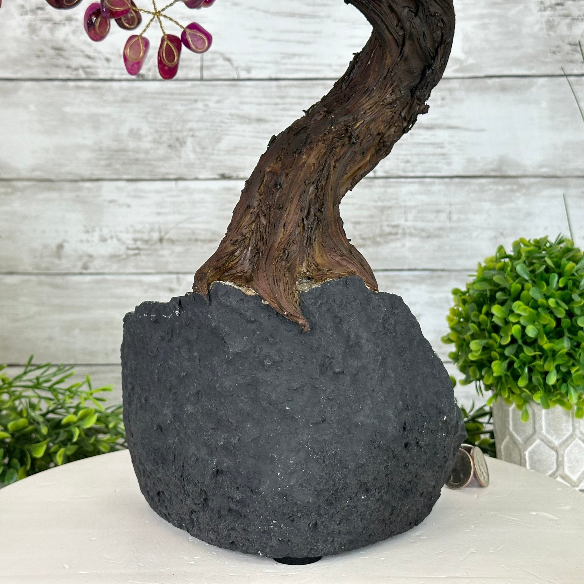 22" Tall Pink Agate Gemstone Tree w/ Amethyst base, 540 gems #5406PA-008 - Brazil GemsBrazil Gems22" Tall Pink Agate Gemstone Tree w/ Amethyst base, 540 gems #5406PA-008Gemstone Trees5406PA-008