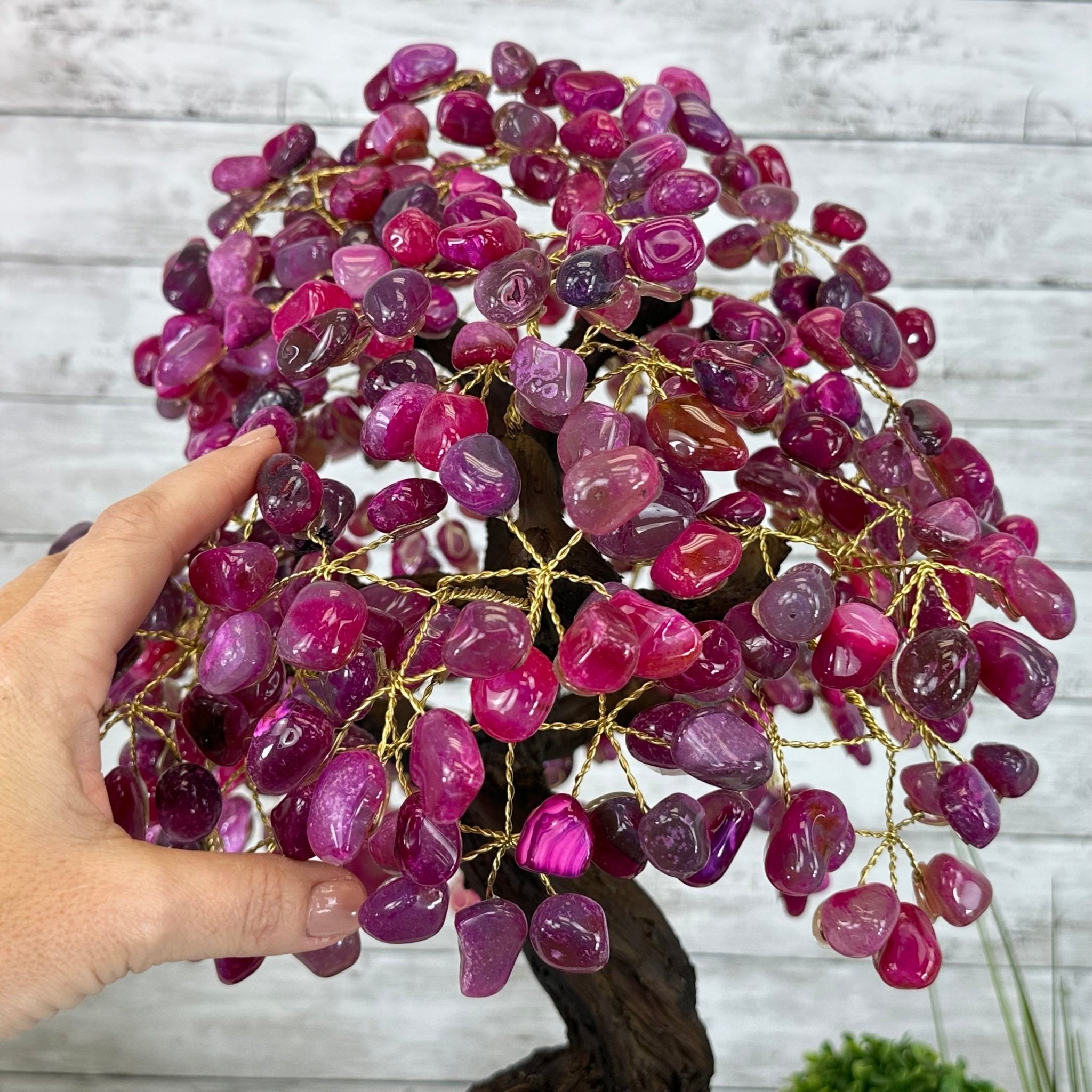 22" Tall Pink Agate Gemstone Tree w/ Amethyst base, 540 gems #5406PA-008 - Brazil GemsBrazil Gems22" Tall Pink Agate Gemstone Tree w/ Amethyst base, 540 gems #5406PA-008Gemstone Trees5406PA-008