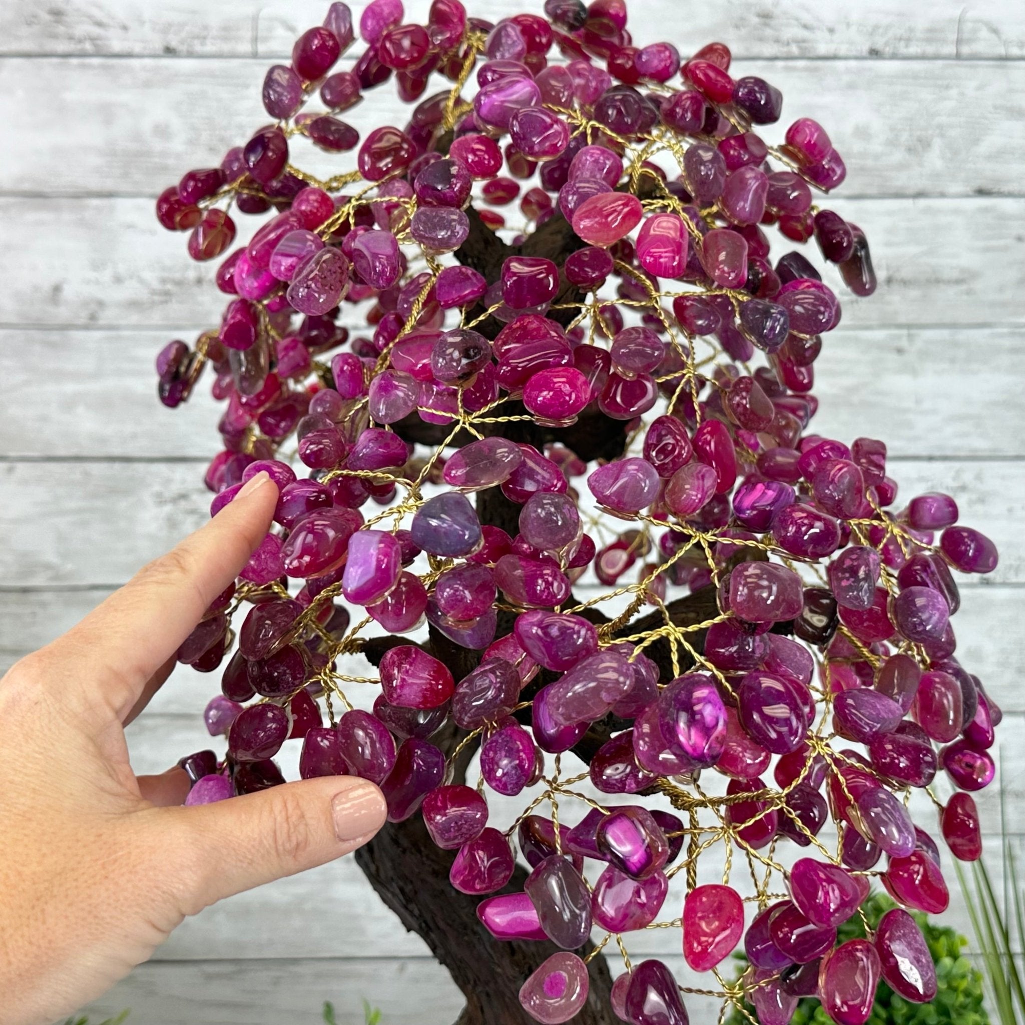 22" Tall Pink Agate Gemstone Tree w/ Amethyst base, 540 gems #5406PA-008 - Brazil GemsBrazil Gems22" Tall Pink Agate Gemstone Tree w/ Amethyst base, 540 gems #5406PA-008Gemstone Trees5406PA-008