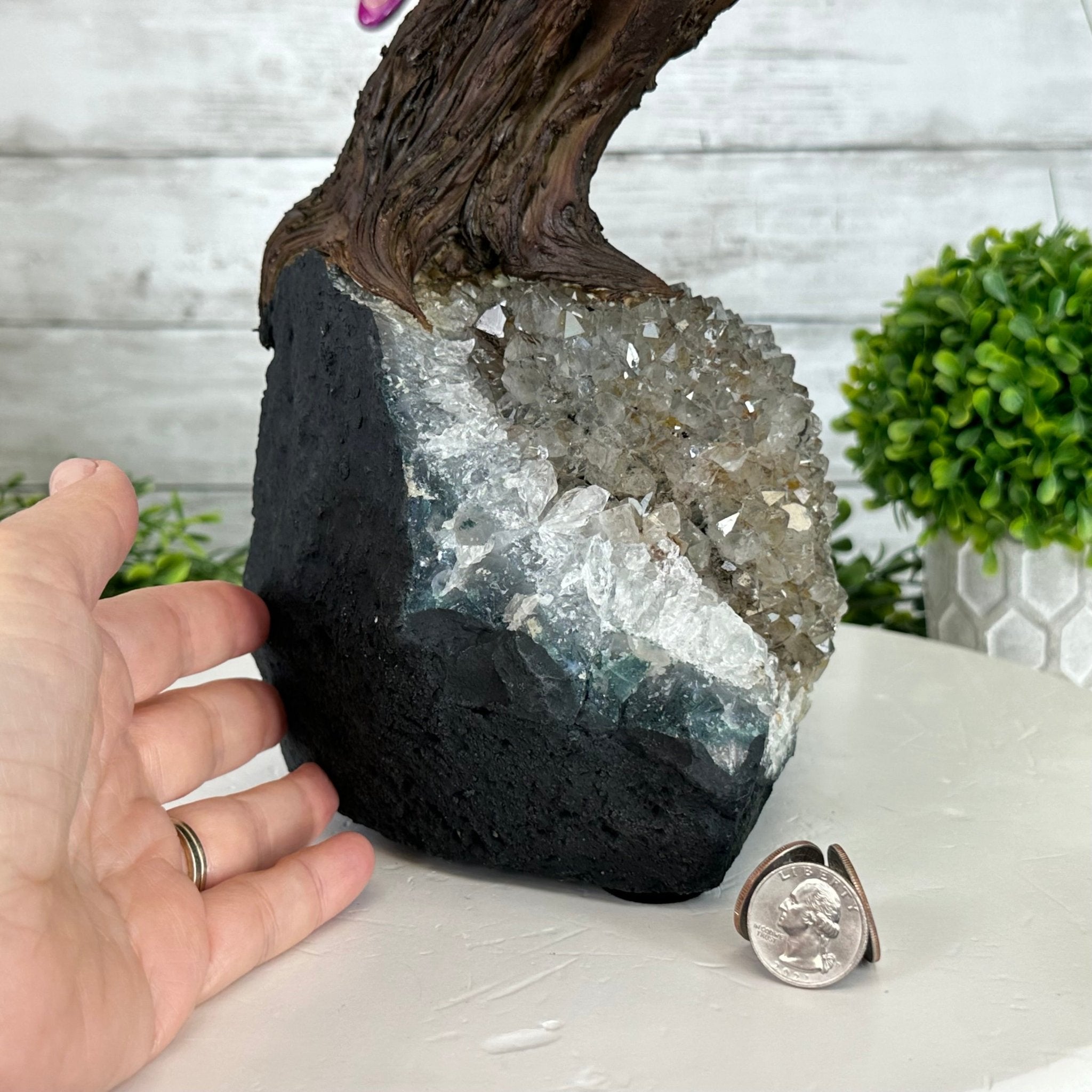 22" Tall Pink Agate Gemstone Tree w/ Amethyst base, 540 gems #5406PA-008 - Brazil GemsBrazil Gems22" Tall Pink Agate Gemstone Tree w/ Amethyst base, 540 gems #5406PA-008Gemstone Trees5406PA-008