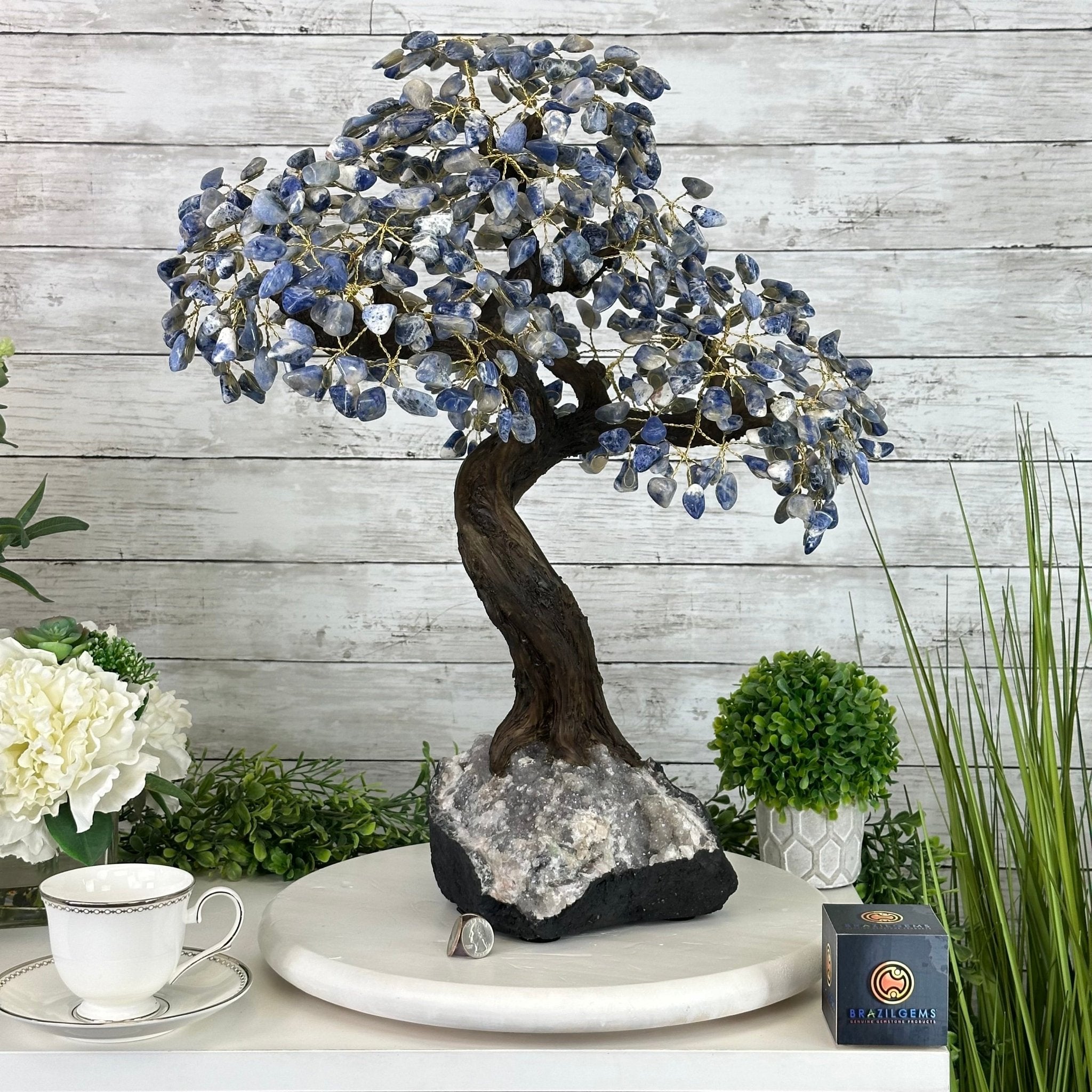 22" Tall Sodalite Gemstone Tree w/ Amethyst base, 540 gems #5406SO-008 - Brazil GemsBrazil Gems22" Tall Sodalite Gemstone Tree w/ Amethyst base, 540 gems #5406SO-008Gemstone Trees5406SO-008