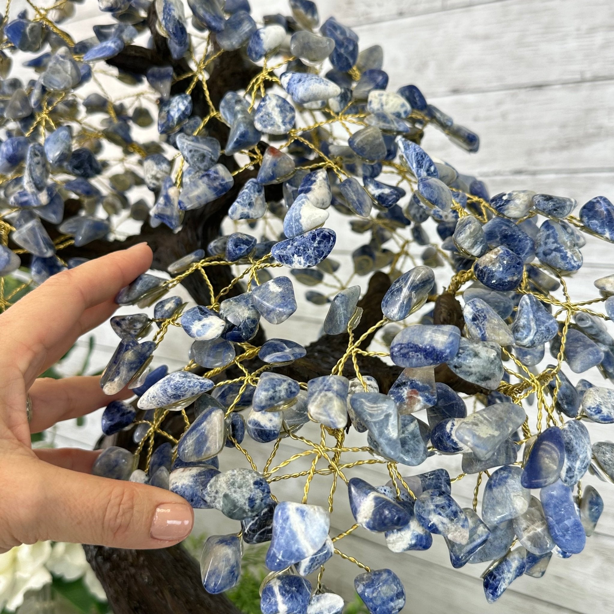 22" Tall Sodalite Gemstone Tree w/ Amethyst base, 540 gems #5406SO-008 - Brazil GemsBrazil Gems22" Tall Sodalite Gemstone Tree w/ Amethyst base, 540 gems #5406SO-008Gemstone Trees5406SO-008