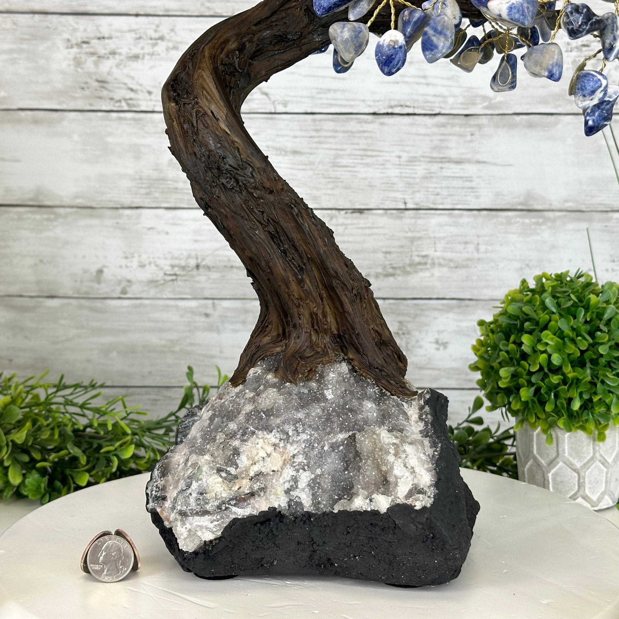 22" Tall Sodalite Gemstone Tree w/ Amethyst base, 540 gems #5406SO-008 - Brazil GemsBrazil Gems22" Tall Sodalite Gemstone Tree w/ Amethyst base, 540 gems #5406SO-008Gemstone Trees5406SO-008