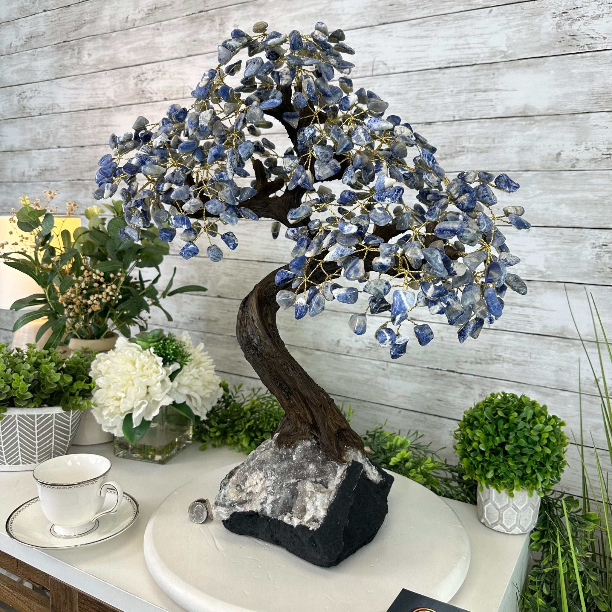 22" Tall Sodalite Gemstone Tree w/ Amethyst base, 540 gems #5406SO-008 - Brazil GemsBrazil Gems22" Tall Sodalite Gemstone Tree w/ Amethyst base, 540 gems #5406SO-008Gemstone Trees5406SO-008