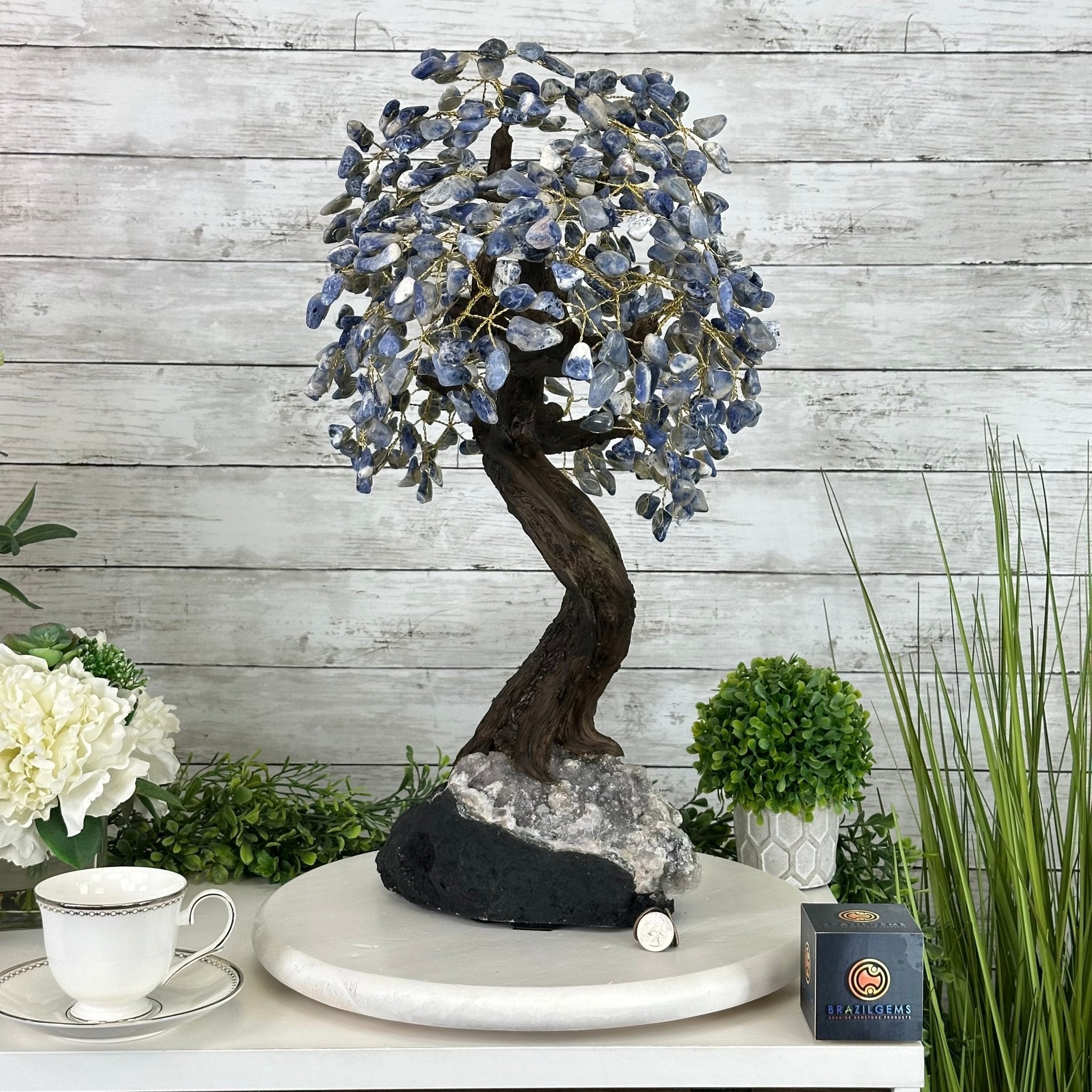 22" Tall Sodalite Gemstone Tree w/ Amethyst base, 540 gems #5406SO-008 - Brazil GemsBrazil Gems22" Tall Sodalite Gemstone Tree w/ Amethyst base, 540 gems #5406SO-008Gemstone Trees5406SO-008