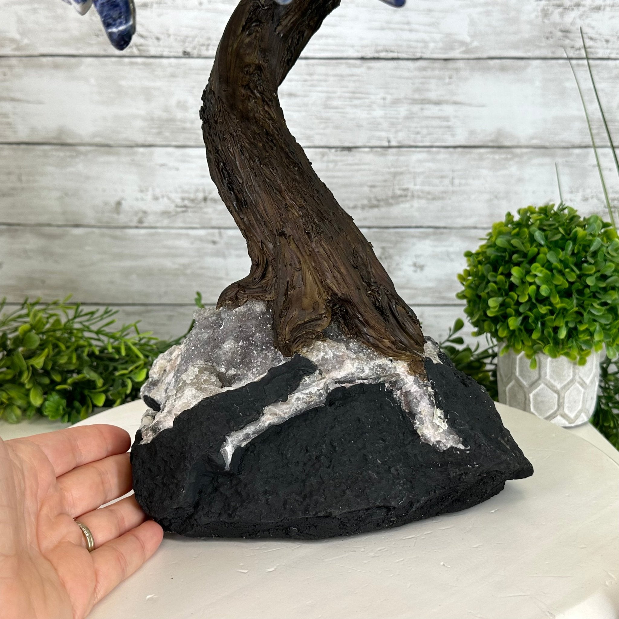 22" Tall Sodalite Gemstone Tree w/ Amethyst base, 540 gems #5406SO-008 - Brazil GemsBrazil Gems22" Tall Sodalite Gemstone Tree w/ Amethyst base, 540 gems #5406SO-008Gemstone Trees5406SO-008