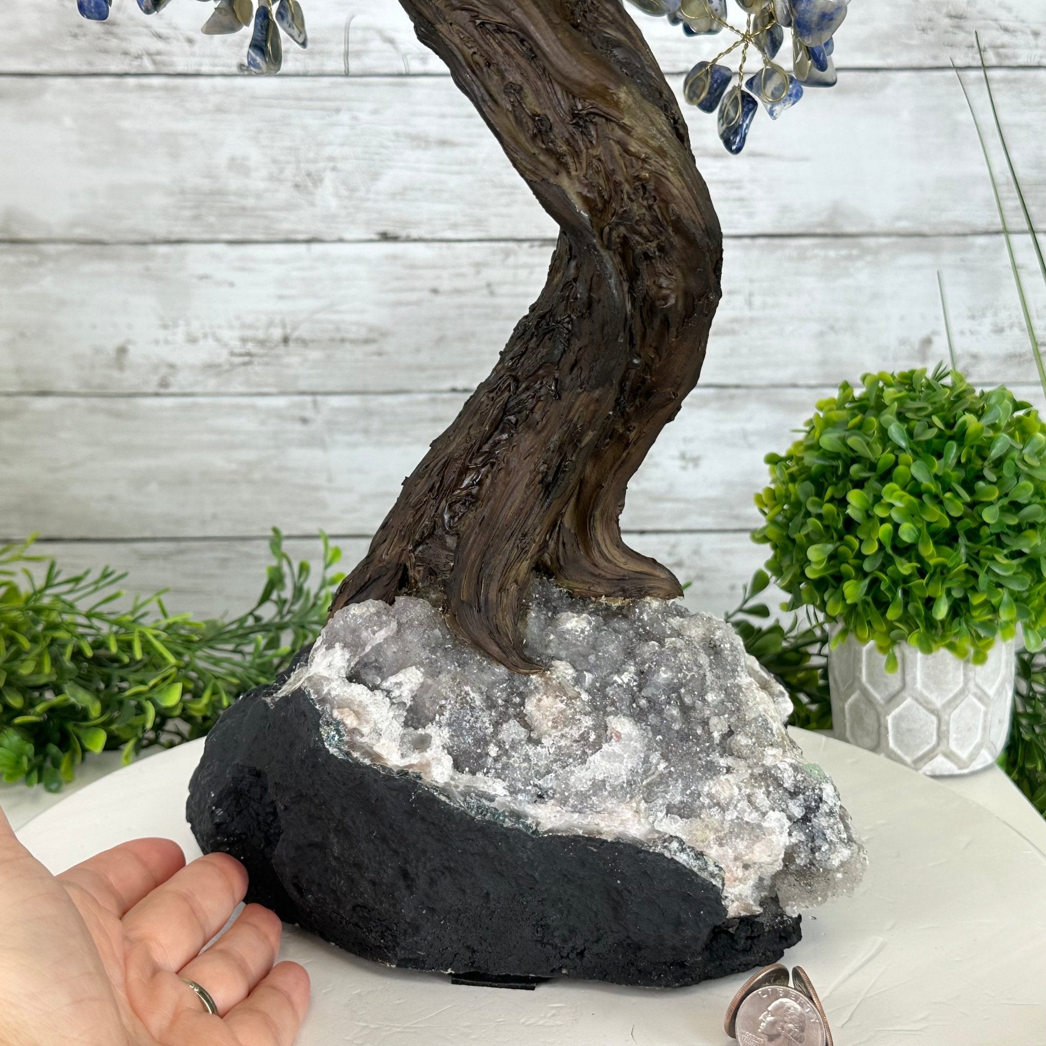 22" Tall Sodalite Gemstone Tree w/ Amethyst base, 540 gems #5406SO-008 - Brazil GemsBrazil Gems22" Tall Sodalite Gemstone Tree w/ Amethyst base, 540 gems #5406SO-008Gemstone Trees5406SO-008