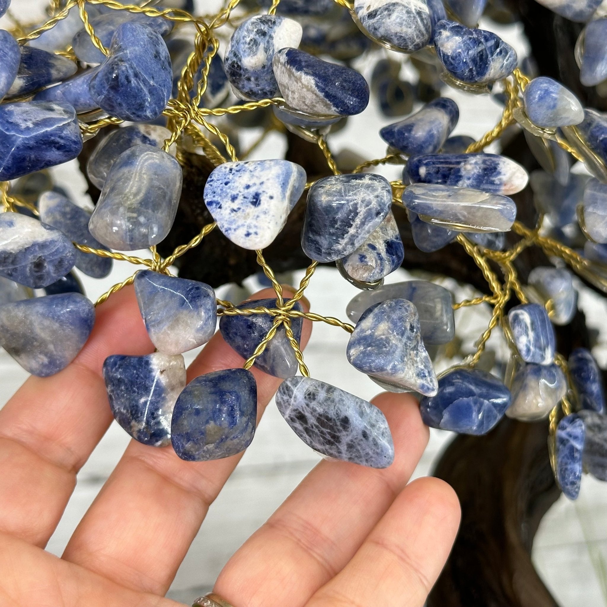 22" Tall Sodalite Gemstone Tree w/ Amethyst base, 540 gems #5406SO-008 - Brazil GemsBrazil Gems22" Tall Sodalite Gemstone Tree w/ Amethyst base, 540 gems #5406SO-008Gemstone Trees5406SO-008