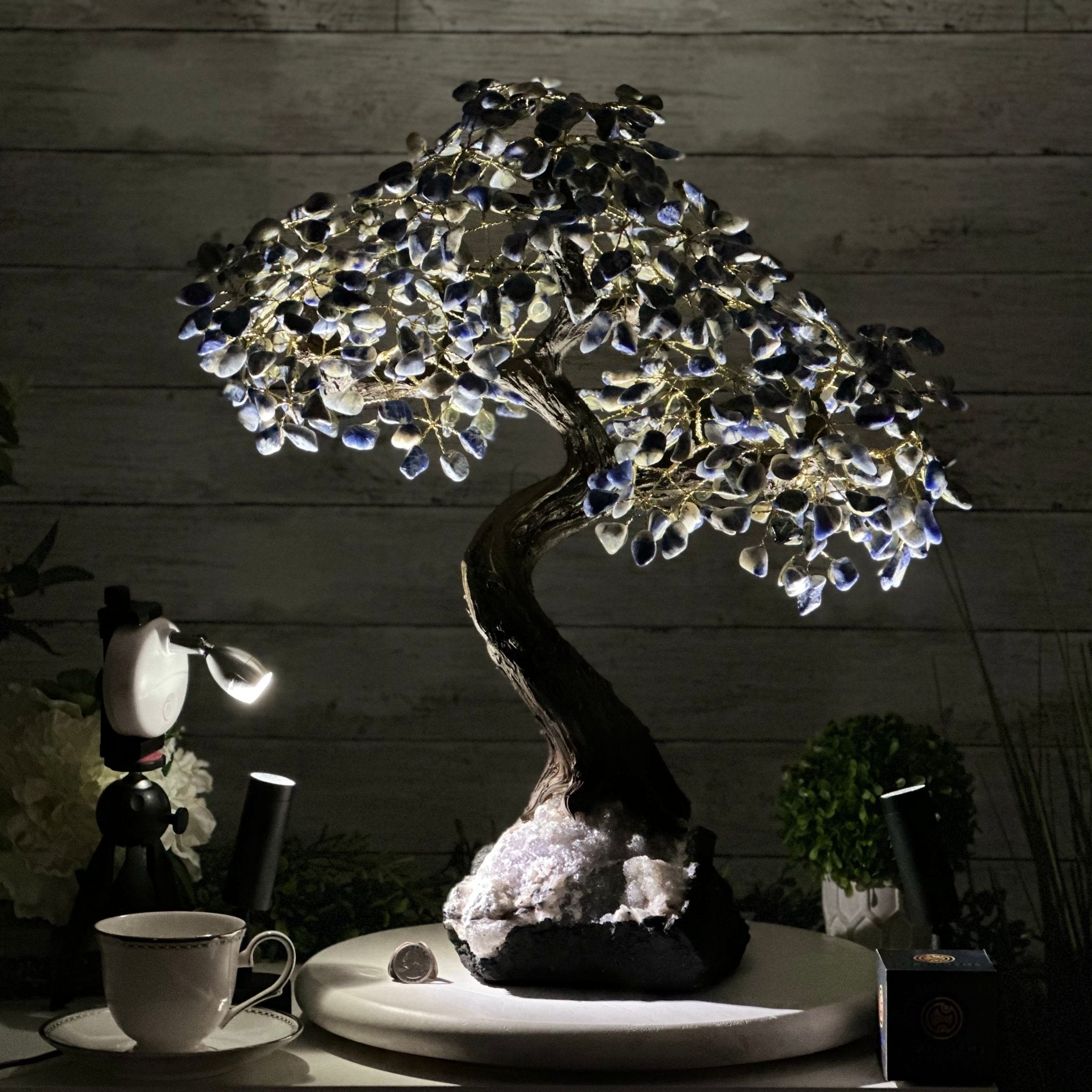 22" Tall Sodalite Gemstone Tree w/ Amethyst base, 540 gems #5406SO-008 - Brazil GemsBrazil Gems22" Tall Sodalite Gemstone Tree w/ Amethyst base, 540 gems #5406SO-008Gemstone Trees5406SO-008