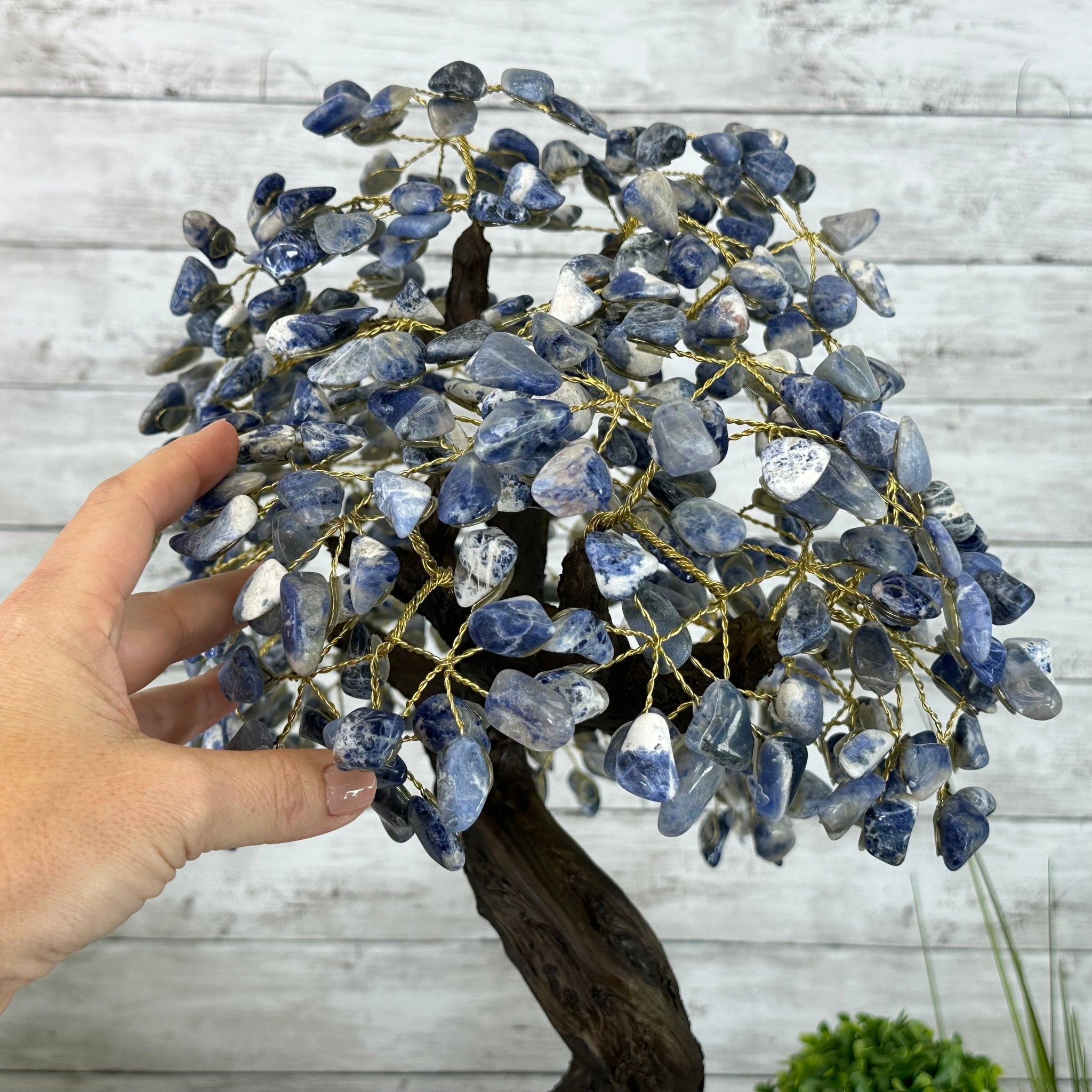22" Tall Sodalite Gemstone Tree w/ Amethyst base, 540 gems #5406SO-008 - Brazil GemsBrazil Gems22" Tall Sodalite Gemstone Tree w/ Amethyst base, 540 gems #5406SO-008Gemstone Trees5406SO-008