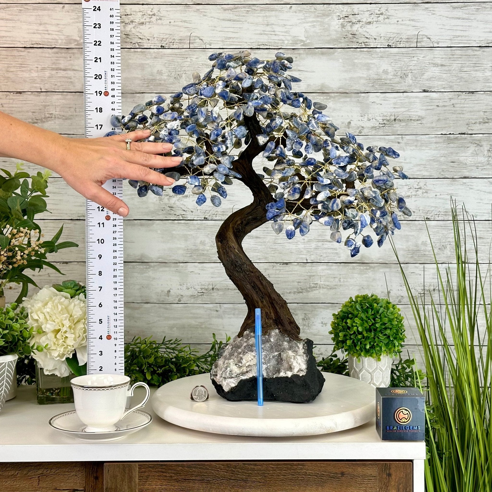 22" Tall Sodalite Gemstone Tree w/ Amethyst base, 540 gems #5406SO-008 - Brazil GemsBrazil Gems22" Tall Sodalite Gemstone Tree w/ Amethyst base, 540 gems #5406SO-008Gemstone Trees5406SO-008