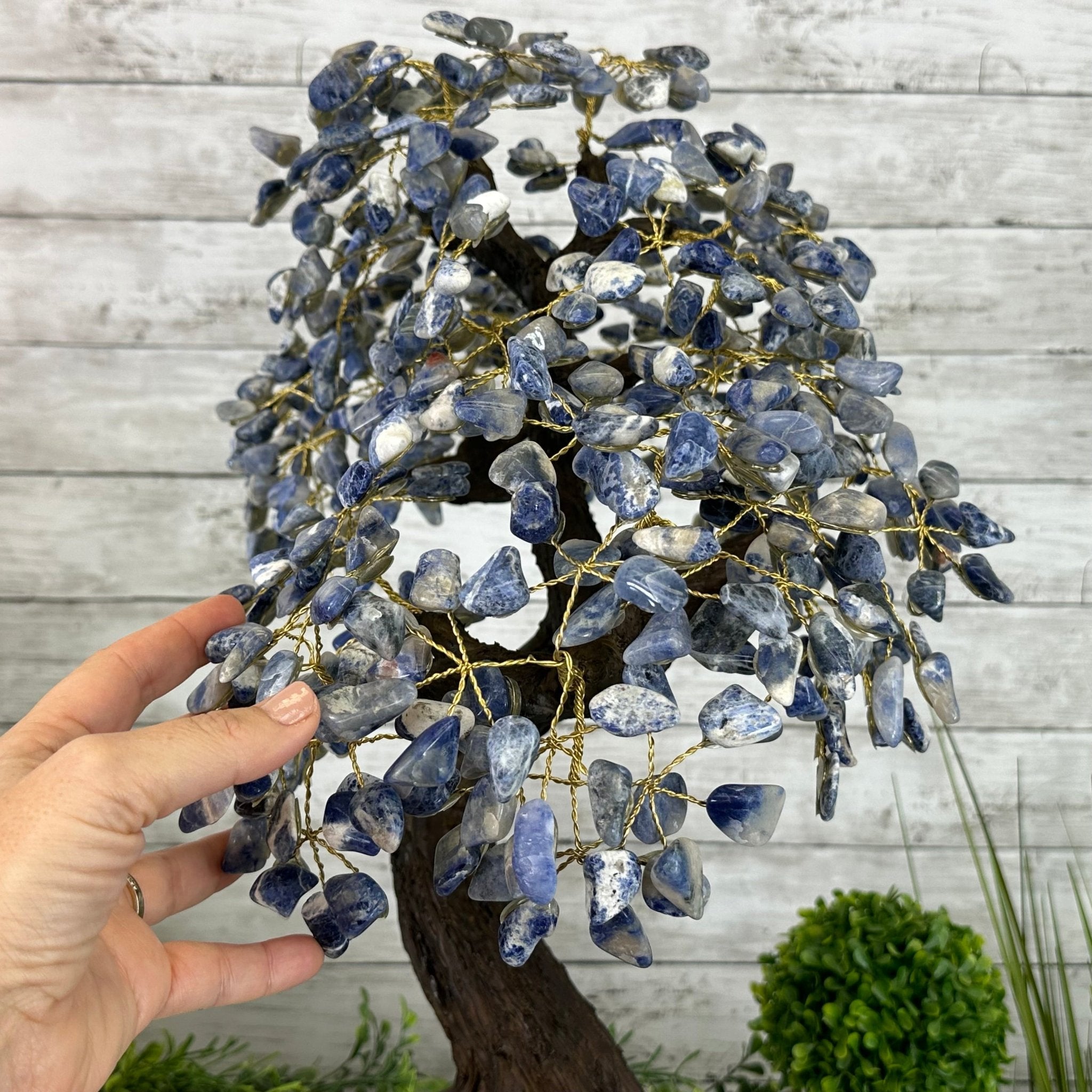 22" Tall Sodalite Gemstone Tree w/ Amethyst base, 540 gems #5406SO-008 - Brazil GemsBrazil Gems22" Tall Sodalite Gemstone Tree w/ Amethyst base, 540 gems #5406SO-008Gemstone Trees5406SO-008