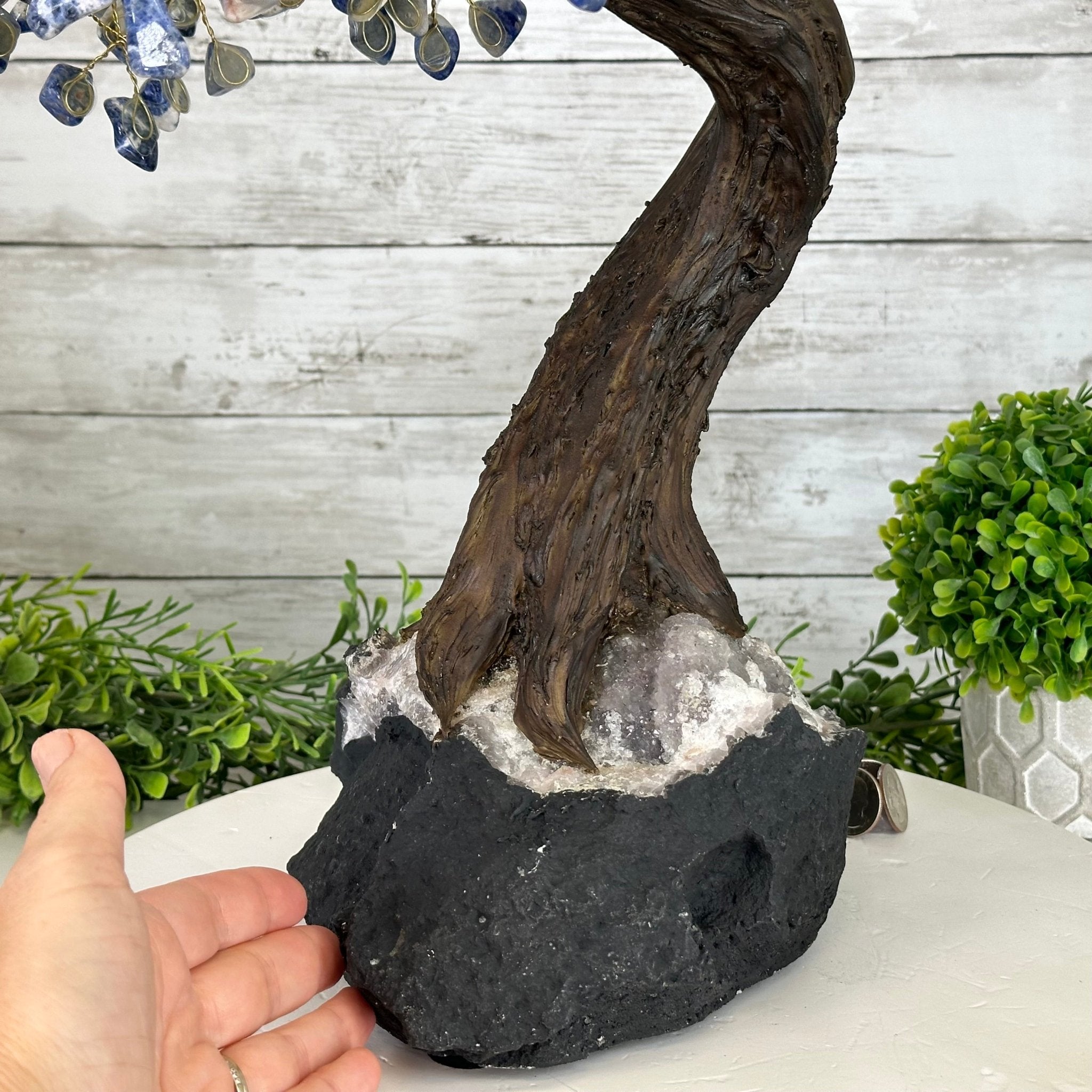 22" Tall Sodalite Gemstone Tree w/ Amethyst base, 540 gems #5406SO-008 - Brazil GemsBrazil Gems22" Tall Sodalite Gemstone Tree w/ Amethyst base, 540 gems #5406SO-008Gemstone Trees5406SO-008