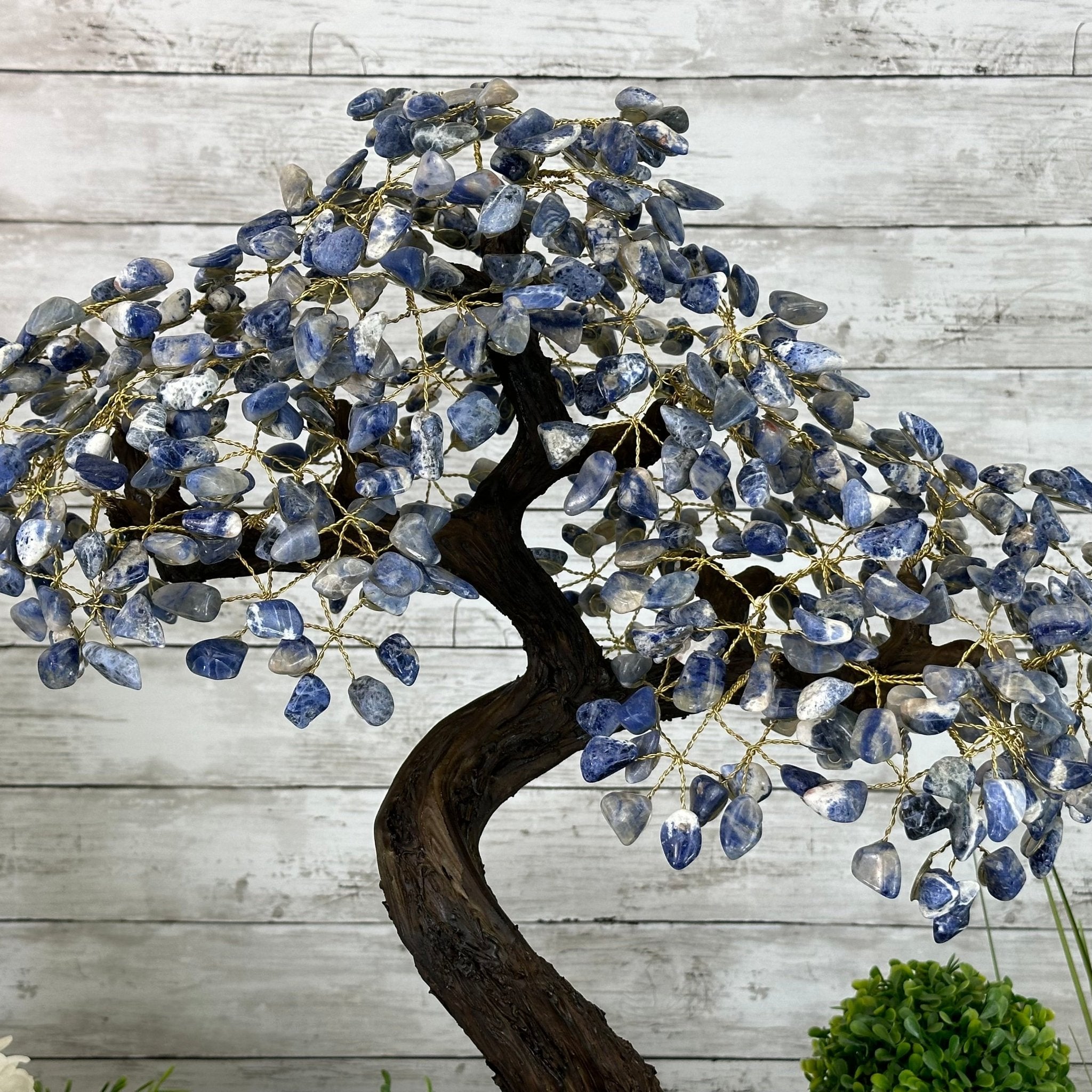 22" Tall Sodalite Gemstone Tree w/ Amethyst base, 540 gems #5406SO-008 - Brazil GemsBrazil Gems22" Tall Sodalite Gemstone Tree w/ Amethyst base, 540 gems #5406SO-008Gemstone Trees5406SO-008