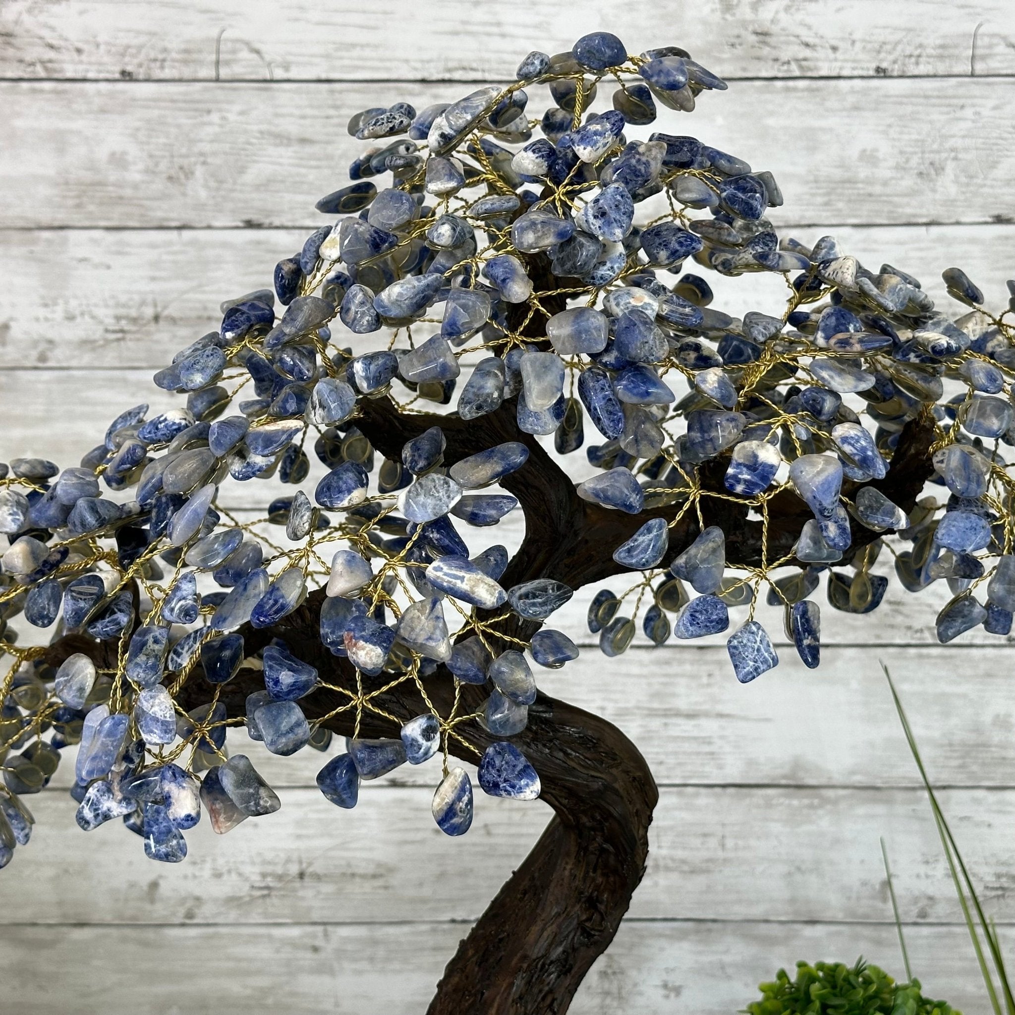 22" Tall Sodalite Gemstone Tree w/ Amethyst base, 540 gems #5406SO-008 - Brazil GemsBrazil Gems22" Tall Sodalite Gemstone Tree w/ Amethyst base, 540 gems #5406SO-008Gemstone Trees5406SO-008
