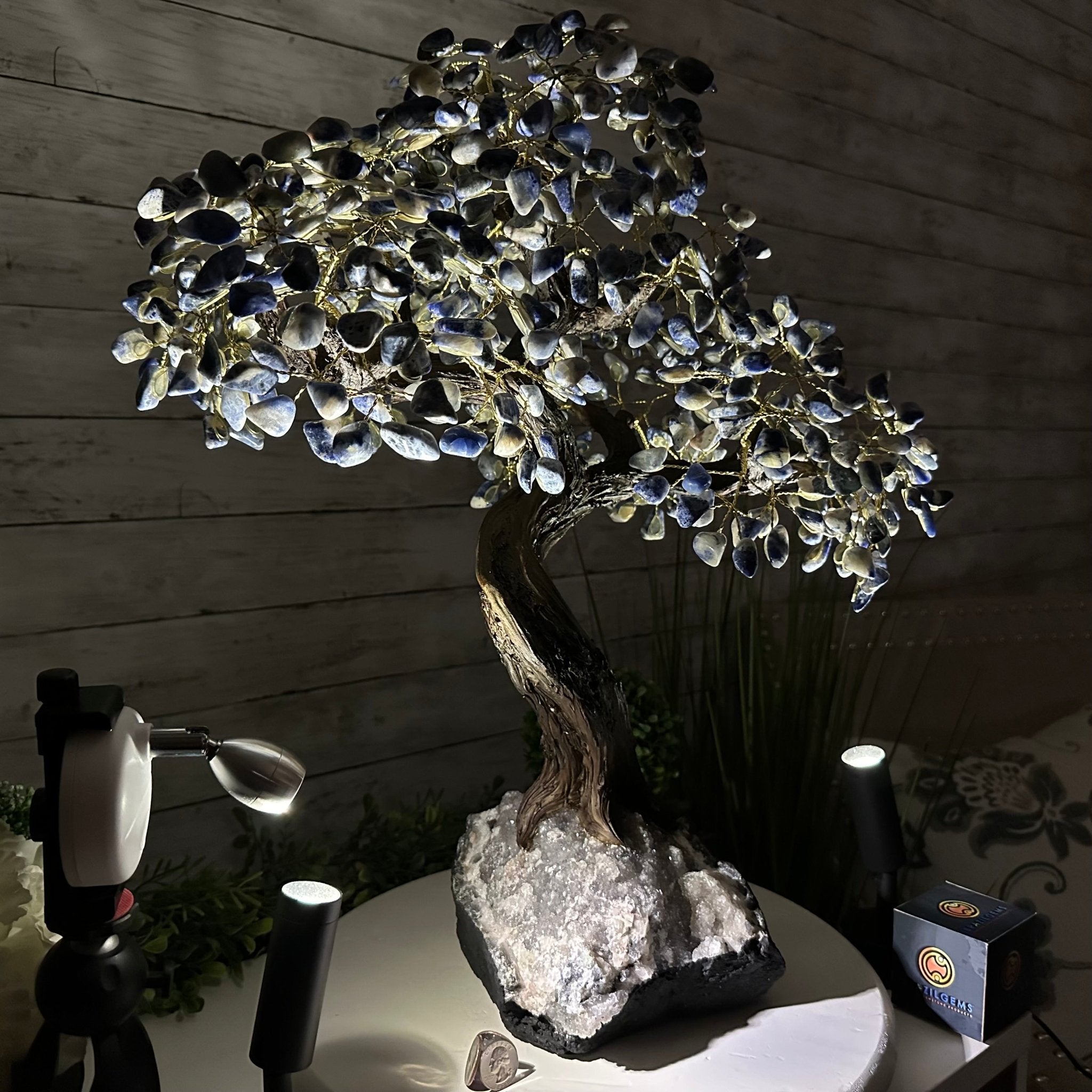 22" Tall Sodalite Gemstone Tree w/ Amethyst base, 540 gems #5406SO-008 - Brazil GemsBrazil Gems22" Tall Sodalite Gemstone Tree w/ Amethyst base, 540 gems #5406SO-008Gemstone Trees5406SO-008