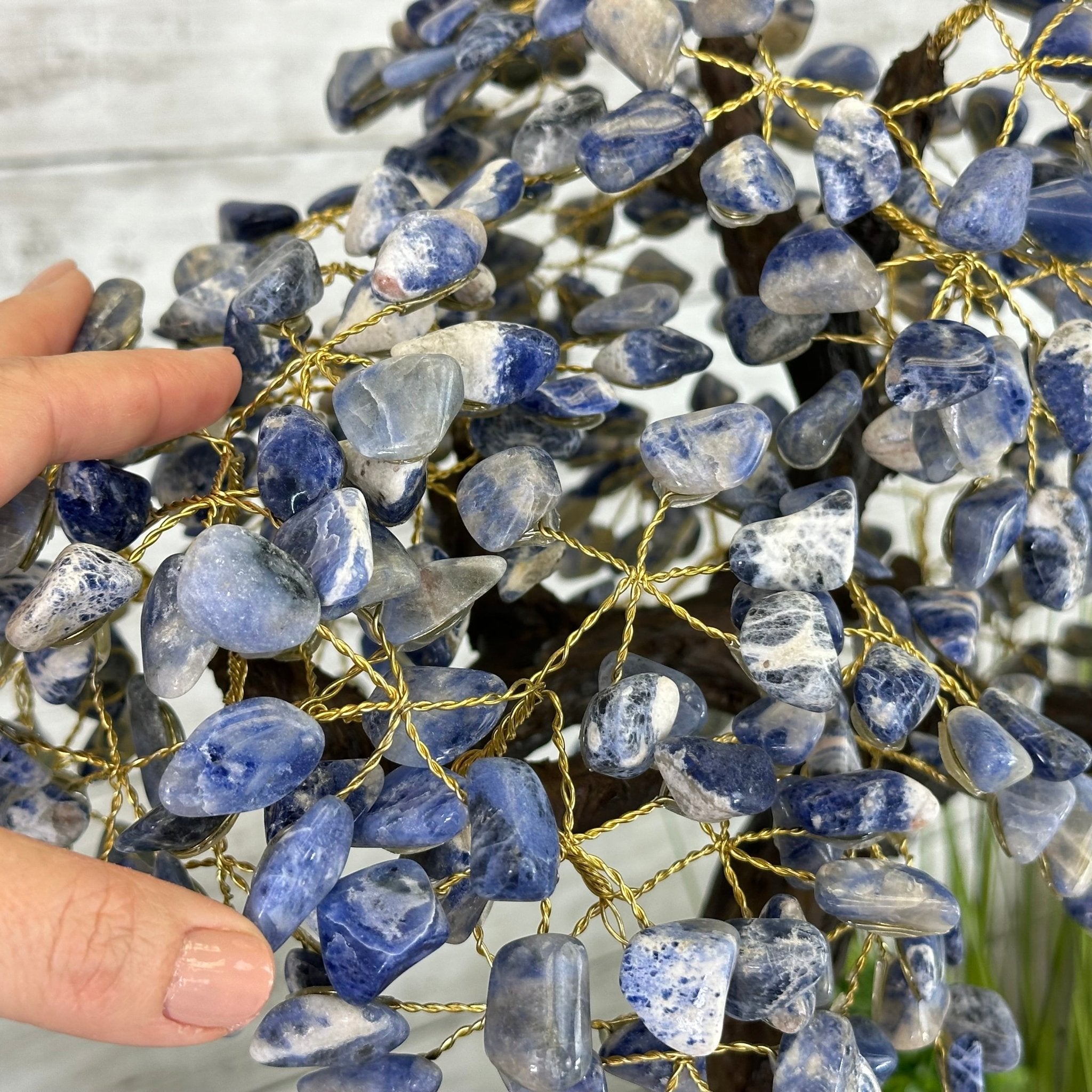 22" Tall Sodalite Gemstone Tree w/ Amethyst base, 540 gems #5406SO-008 - Brazil GemsBrazil Gems22" Tall Sodalite Gemstone Tree w/ Amethyst base, 540 gems #5406SO-008Gemstone Trees5406SO-008