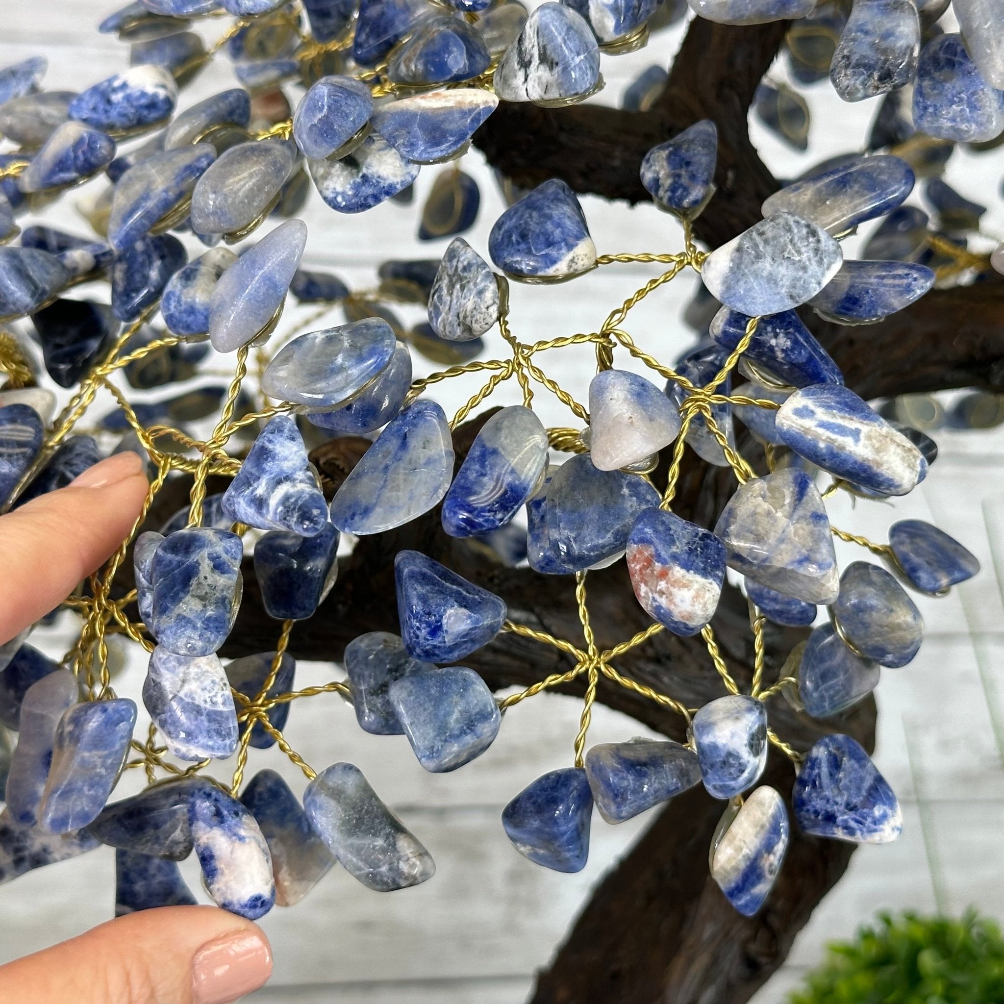 22" Tall Sodalite Gemstone Tree w/ Amethyst base, 540 gems #5406SO-008 - Brazil GemsBrazil Gems22" Tall Sodalite Gemstone Tree w/ Amethyst base, 540 gems #5406SO-008Gemstone Trees5406SO-008