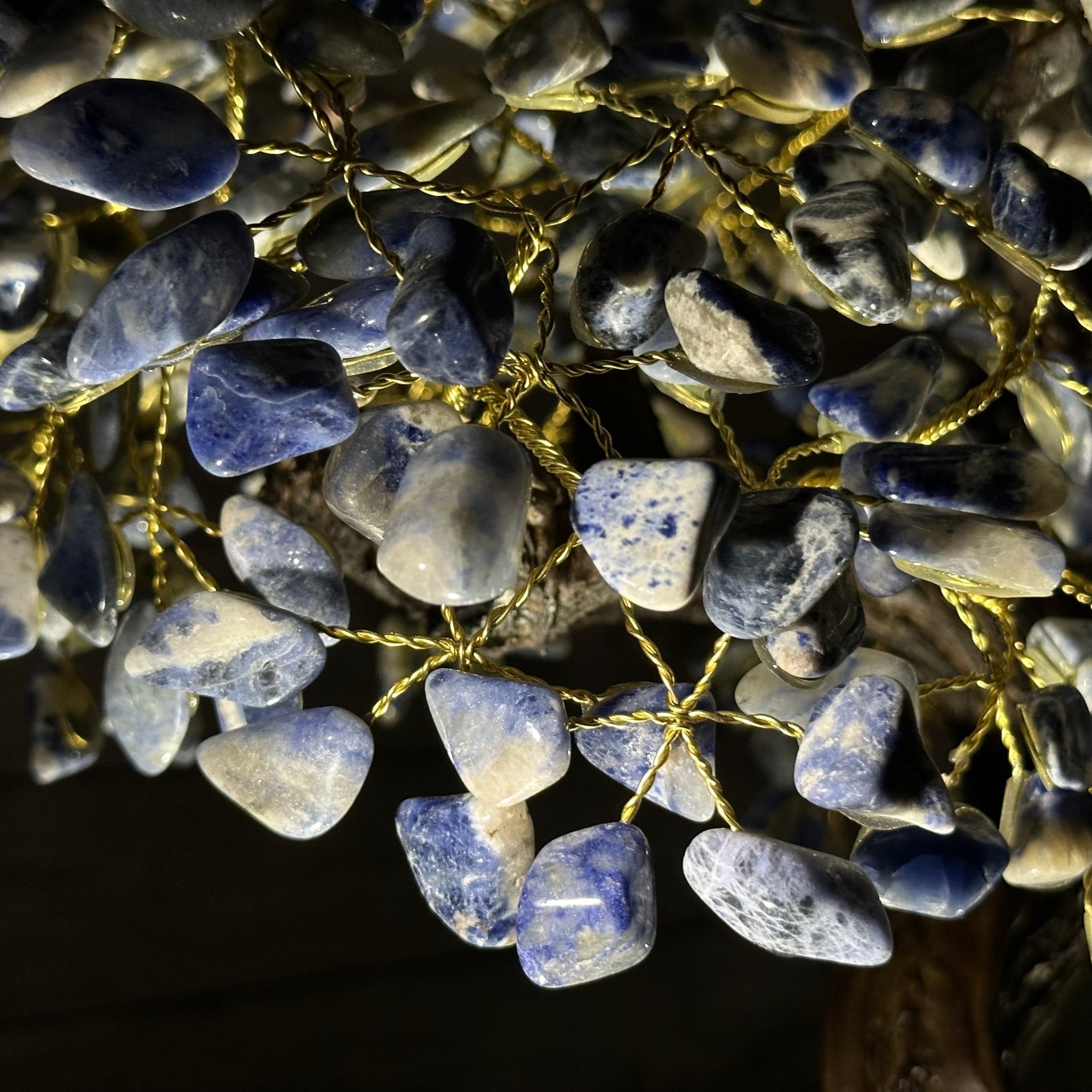 22" Tall Sodalite Gemstone Tree w/ Amethyst base, 540 gems #5406SO-008 - Brazil GemsBrazil Gems22" Tall Sodalite Gemstone Tree w/ Amethyst base, 540 gems #5406SO-008Gemstone Trees5406SO-008