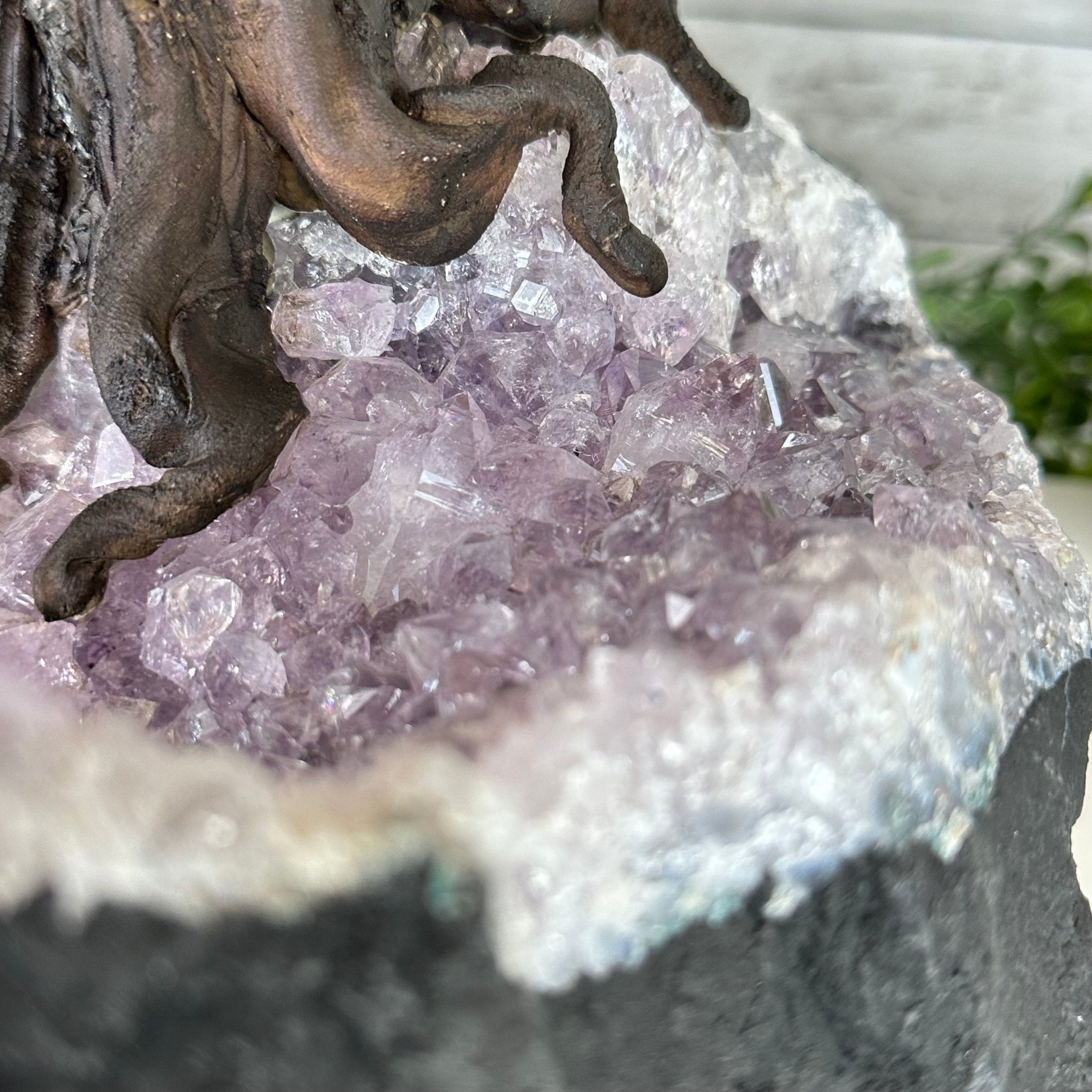 23" Tall Carnelian Gemstone Tree on an Amethyst base, 540 gems #5406CA-006 - Brazil GemsBrazil Gems23" Tall Carnelian Gemstone Tree on an Amethyst base, 540 gems #5406CA-006Gemstone Trees5406CA-006