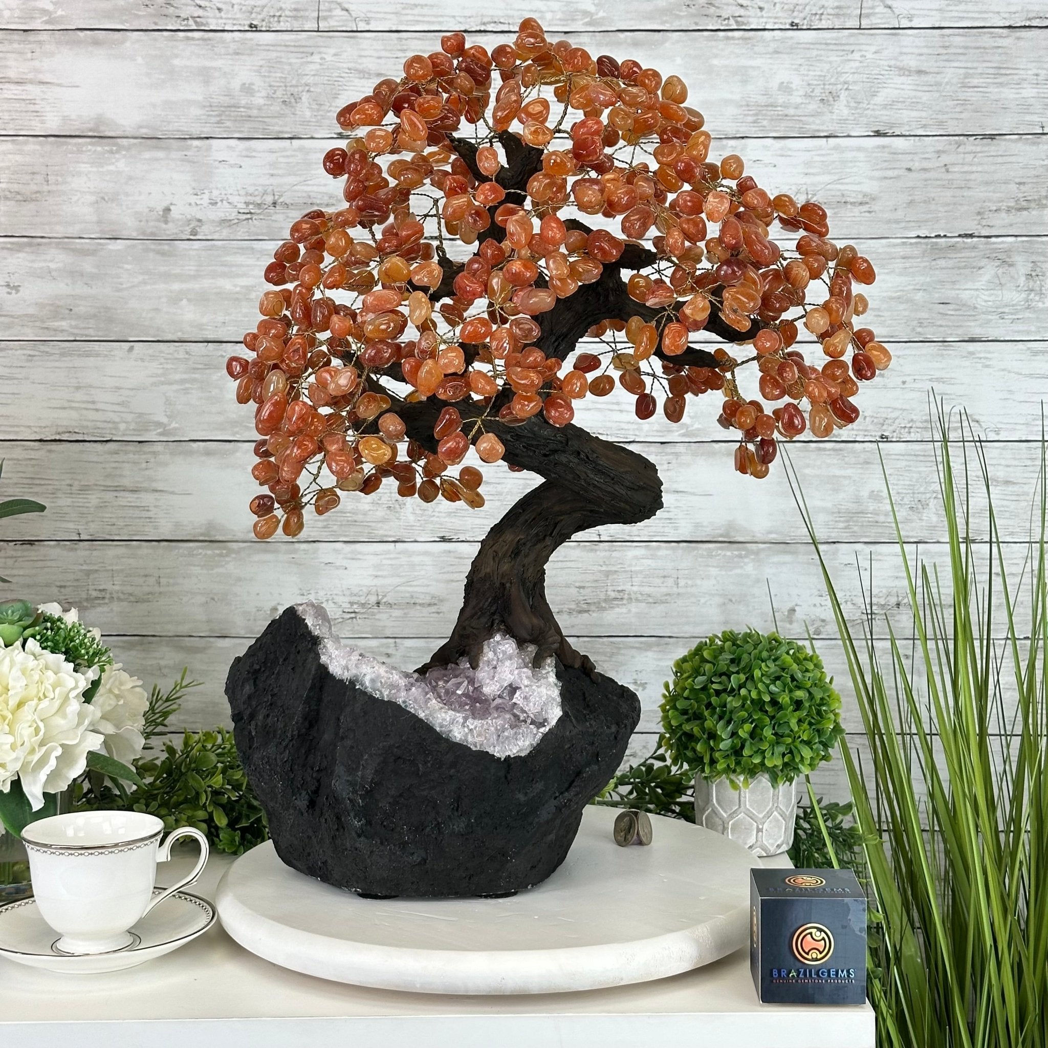 23" Tall Carnelian Gemstone Tree on an Amethyst base, 540 gems #5406CA-006 - Brazil GemsBrazil Gems23" Tall Carnelian Gemstone Tree on an Amethyst base, 540 gems #5406CA-006Gemstone Trees5406CA-006