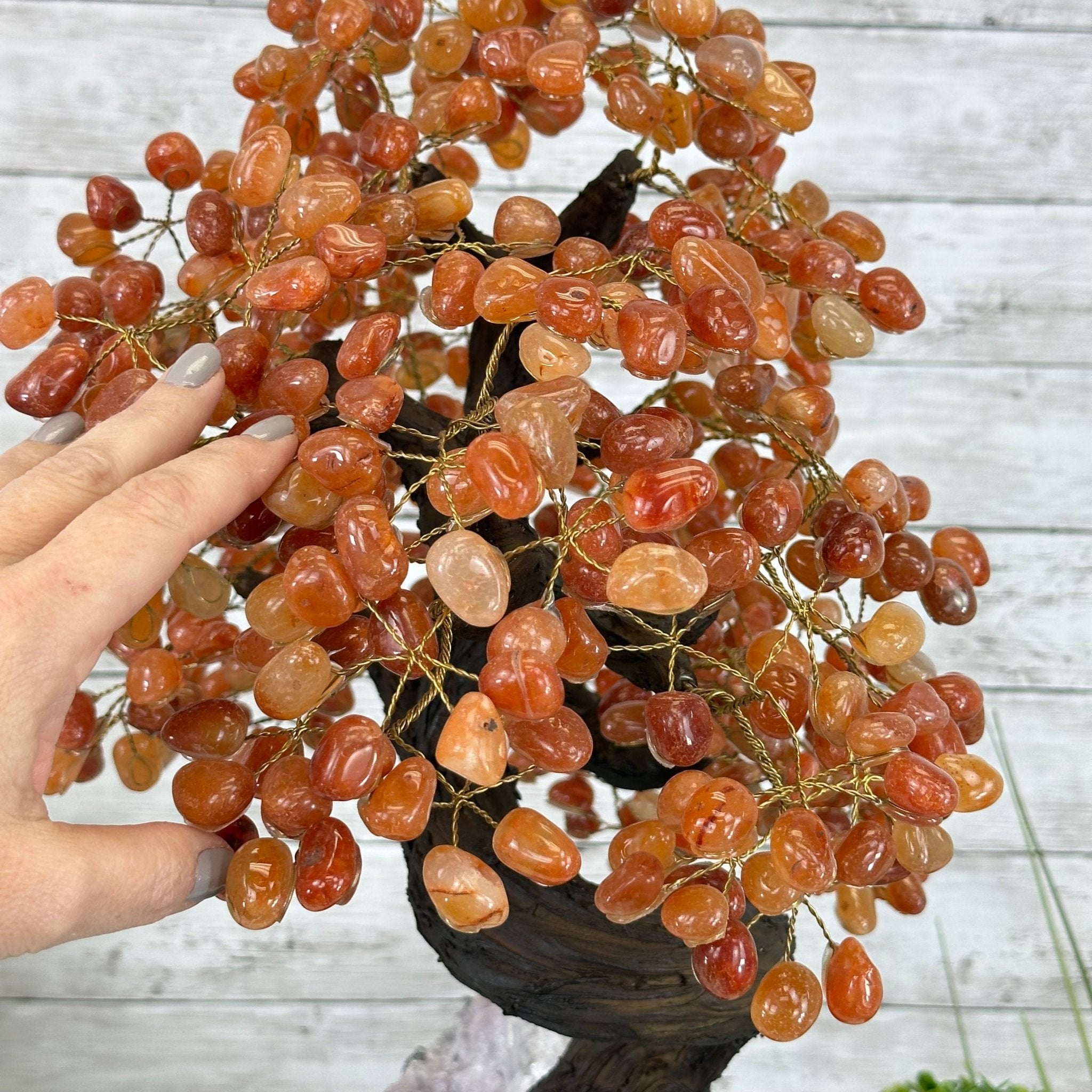 23" Tall Carnelian Gemstone Tree on an Amethyst base, 540 gems #5406CA-006 - Brazil GemsBrazil Gems23" Tall Carnelian Gemstone Tree on an Amethyst base, 540 gems #5406CA-006Gemstone Trees5406CA-006