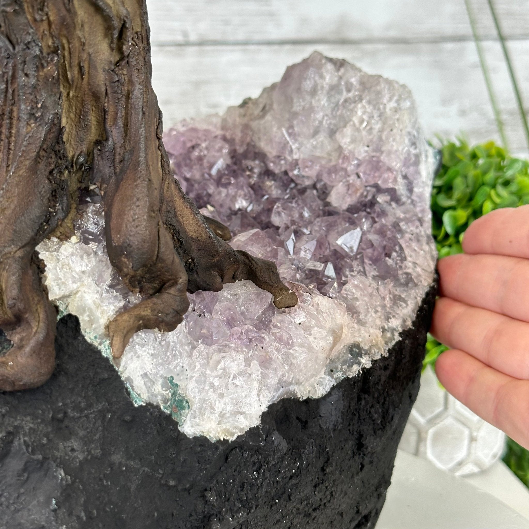 23" Tall Carnelian Gemstone Tree on an Amethyst base, 540 gems #5406CA-006 - Brazil GemsBrazil Gems23" Tall Carnelian Gemstone Tree on an Amethyst base, 540 gems #5406CA-006Gemstone Trees5406CA-006