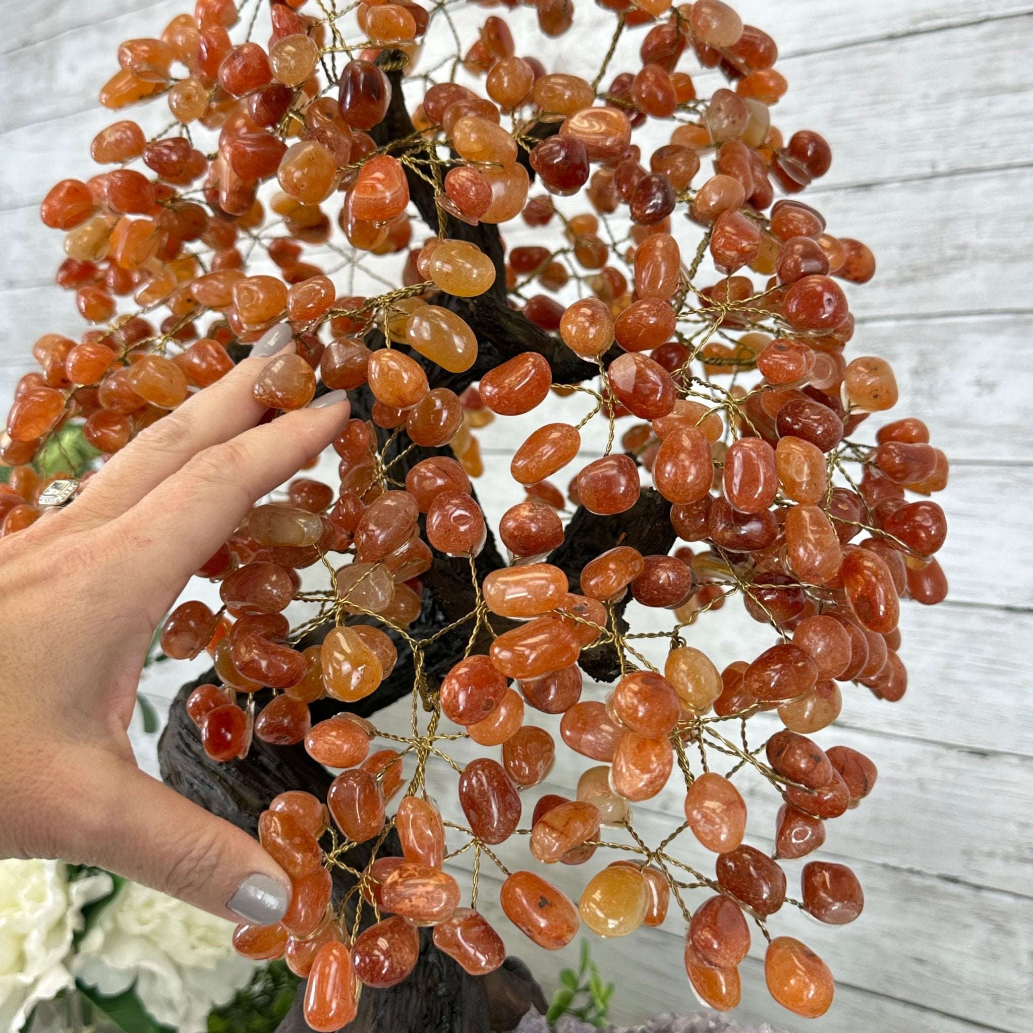 23" Tall Carnelian Gemstone Tree on an Amethyst base, 540 gems #5406CA-006 - Brazil GemsBrazil Gems23" Tall Carnelian Gemstone Tree on an Amethyst base, 540 gems #5406CA-006Gemstone Trees5406CA-006