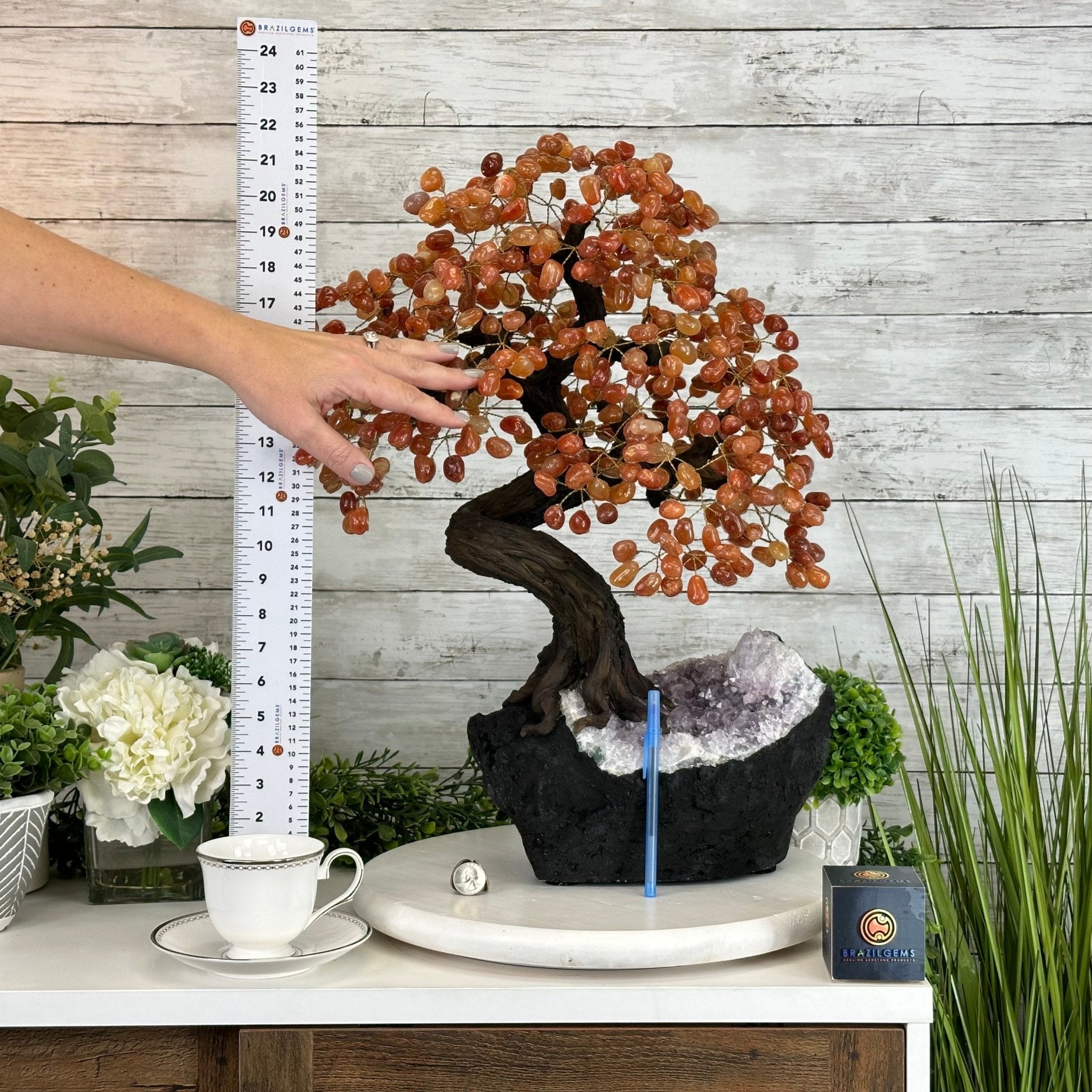 23" Tall Carnelian Gemstone Tree on an Amethyst base, 540 gems #5406CA-006 - Brazil GemsBrazil Gems23" Tall Carnelian Gemstone Tree on an Amethyst base, 540 gems #5406CA-006Gemstone Trees5406CA-006